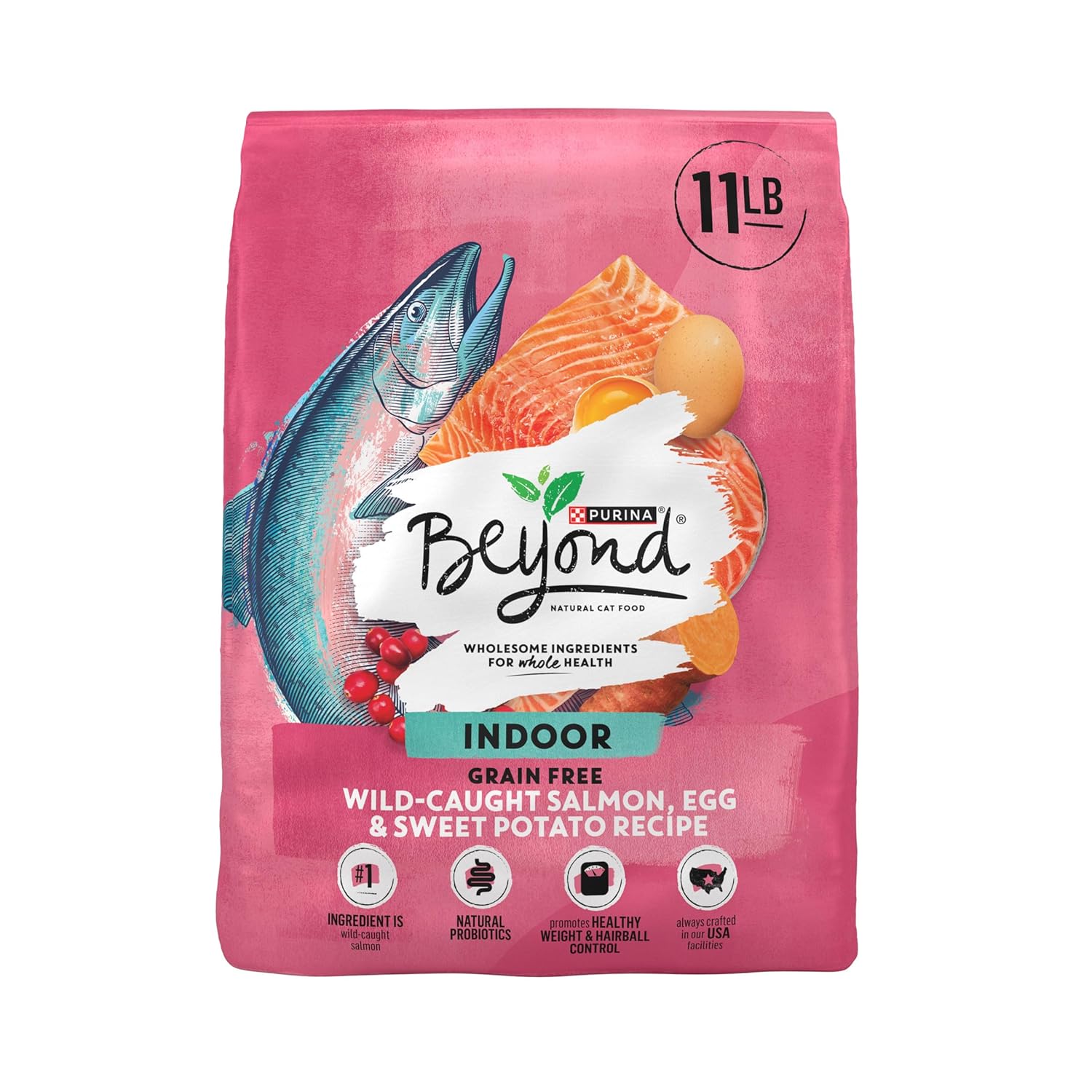 Purina Beyond Indoor Grain Free Salmon, Egg  Sweet Potato Recipe Adult Dry Cat Food, 11 LB · v2