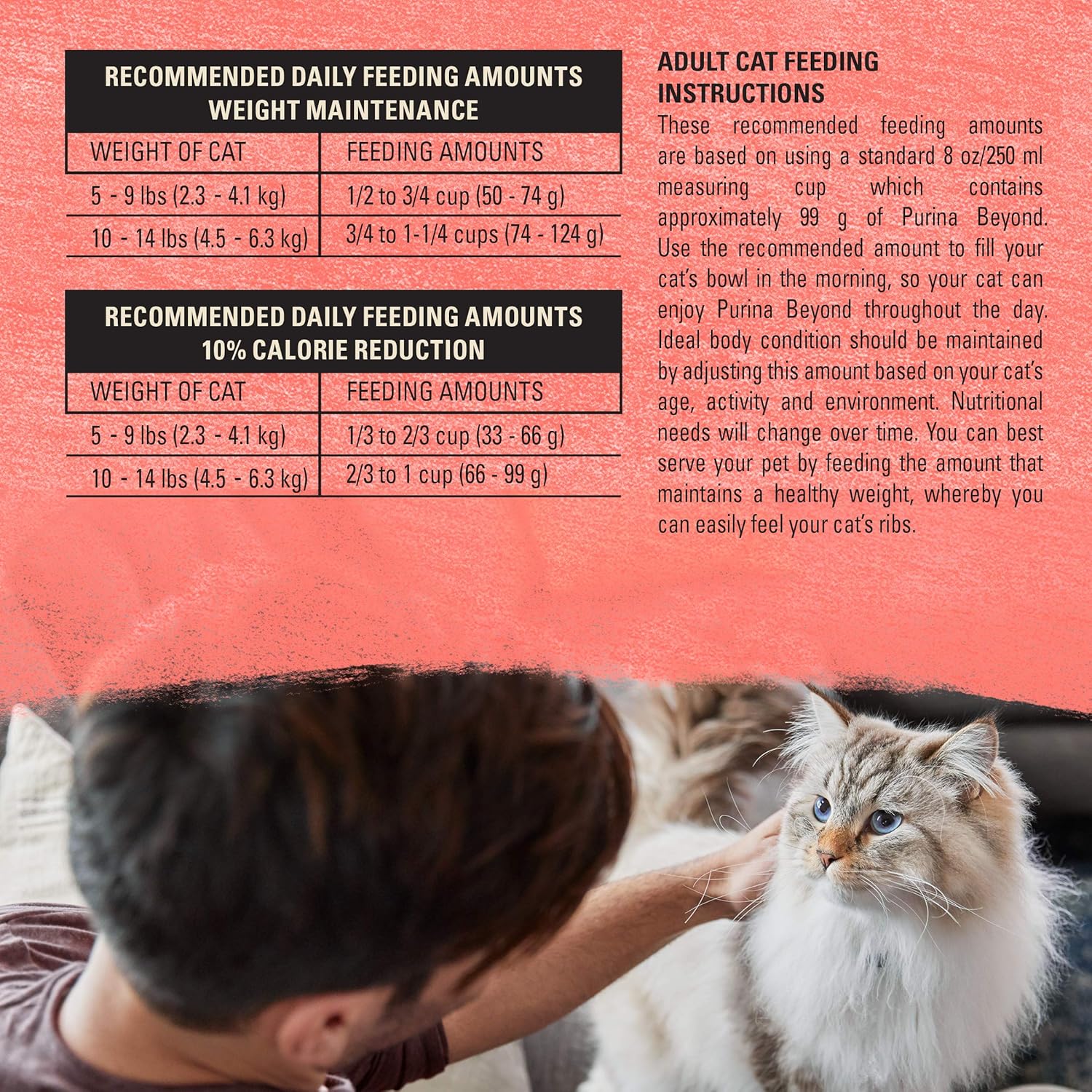 Purina Beyond Indoor Grain Free Salmon, Egg  Sweet Potato Recipe Adult Dry Cat Food, 11 LB · v2