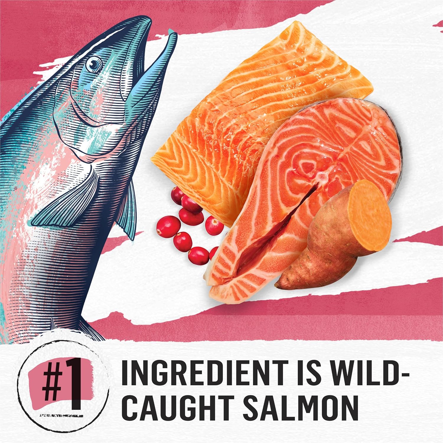 Purina Beyond Indoor Grain Free Salmon, Egg  Sweet Potato Recipe Adult Dry Cat Food, 11 LB · v2