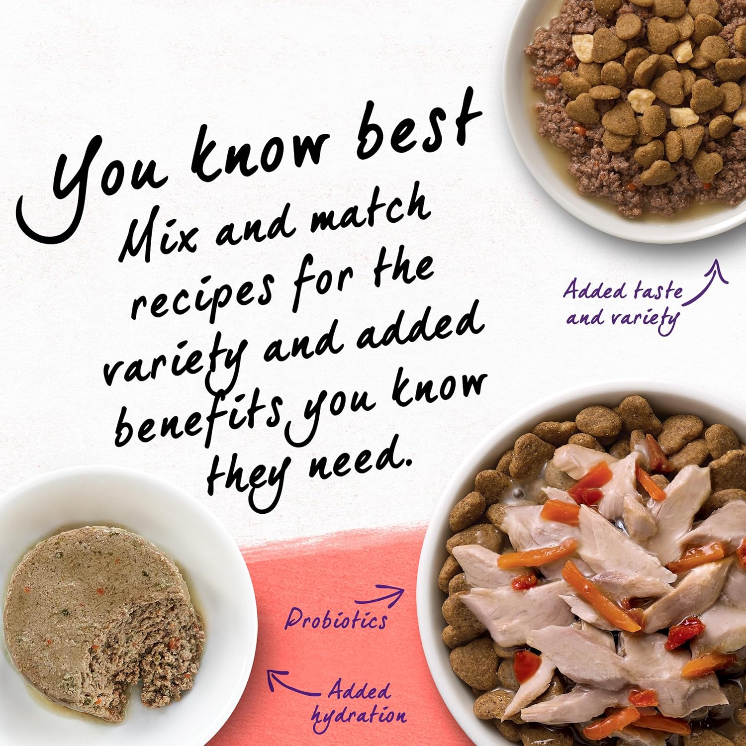 Purina Beyond Indoor Grain Free Salmon, Egg  Sweet Potato Recipe Adult Dry Cat Food, 11 LB · v2
