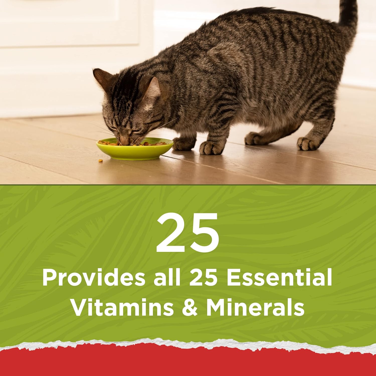 Purina Cat Chow Naturals With Added Vitamins, Minerals and Nutrients Dry Cat Food, Naturals Original - (Pack of 4) 3.15 lb. Bags · v2