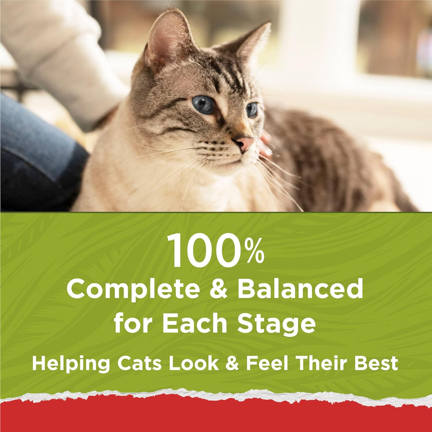Purina Cat Chow Naturals With Added Vitamins, Minerals and Nutrients Dry Cat Food, Naturals Original - (Pack of 4) 3.15 lb. Bags · v2