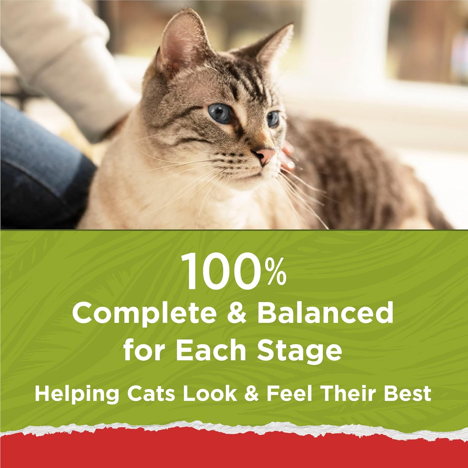 Purina Cat Chow Naturals With Added Vitamins, Minerals and Nutrients Dry Cat Food, Naturals Original - (Pack of 4) 3.15 lb. Bags · v2