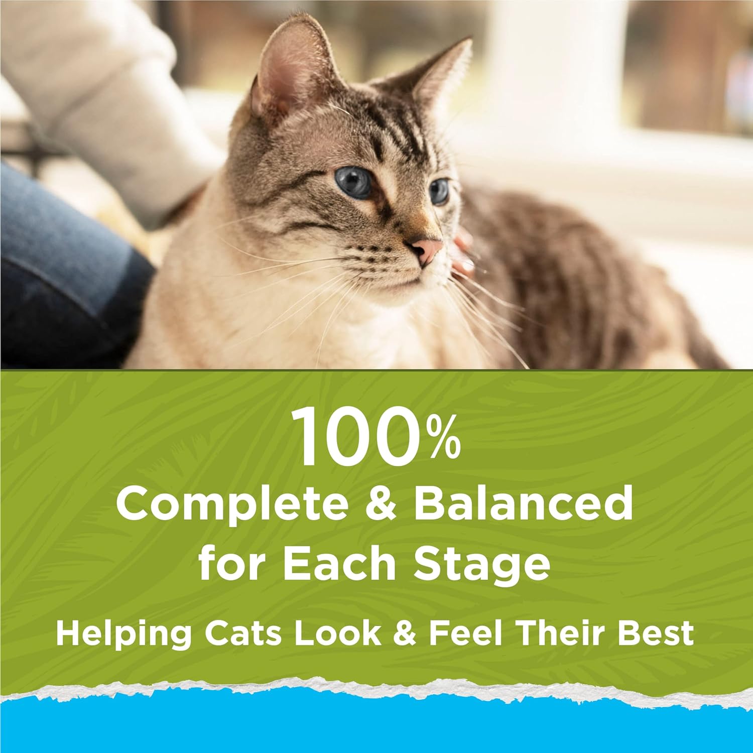 Purina Cat Chow Hairball, здоровый вес, для содержания в помещении, натуральный сухой корм для кошек, Naturals Indoor - (упаковка из 4) мешки по 3,15 фунта