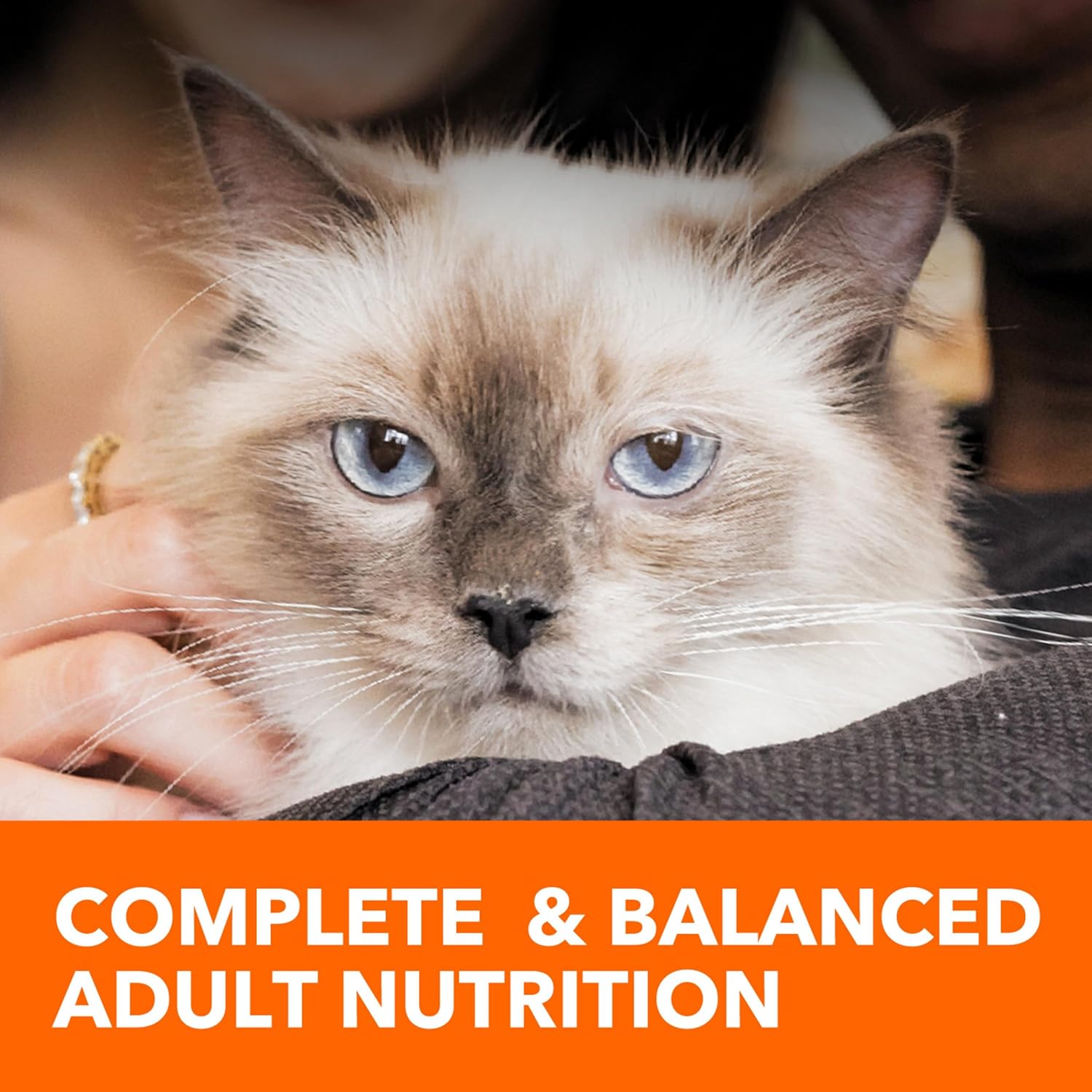 Nourriture sèche pour chats au poulet IAMS PROACTIVE HEALTH pour la santé des voies urinaires pour adultes, sac de 7 livres