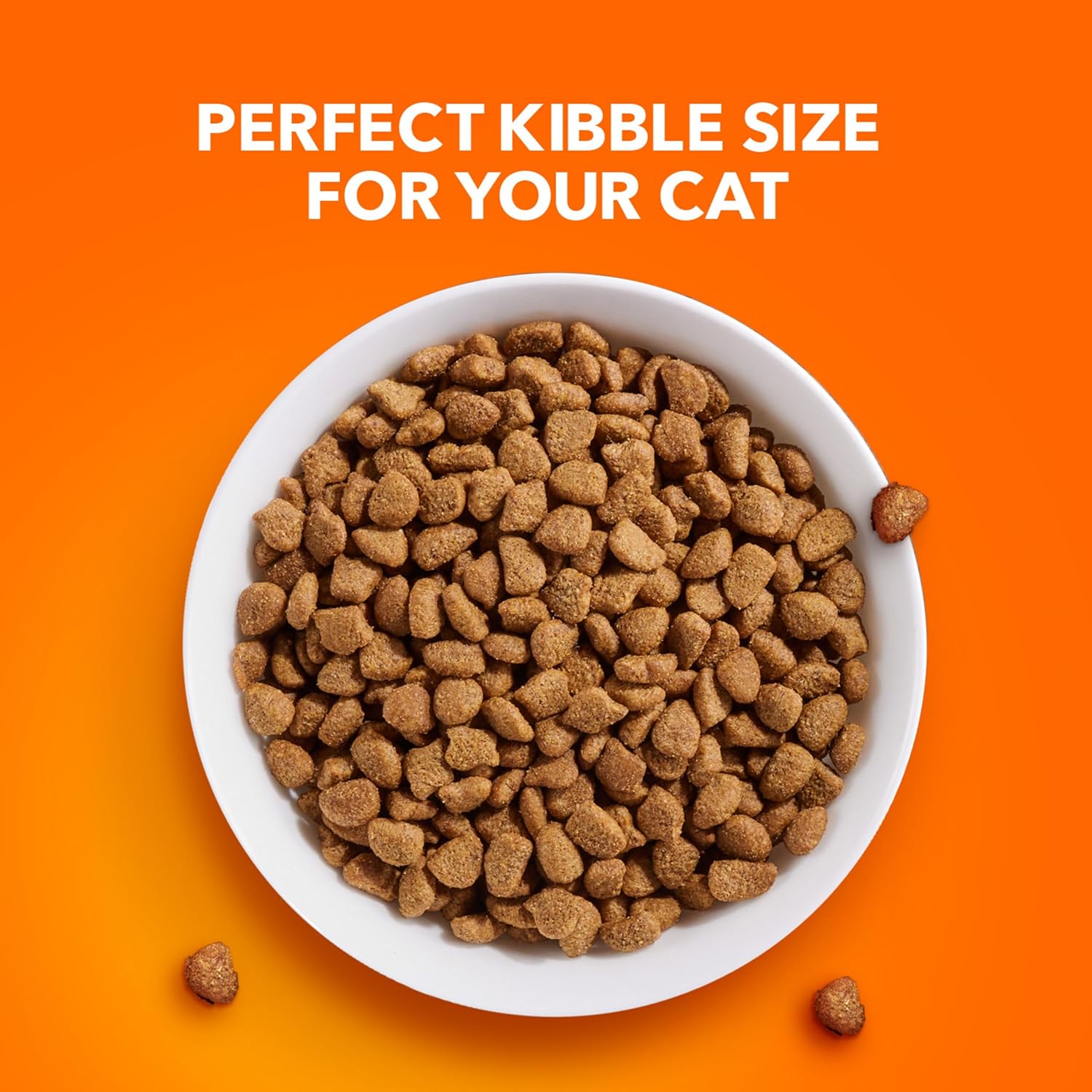 Nourriture sèche pour chats au poulet IAMS PROACTIVE HEALTH pour la santé des voies urinaires pour adultes, sac de 7 livres