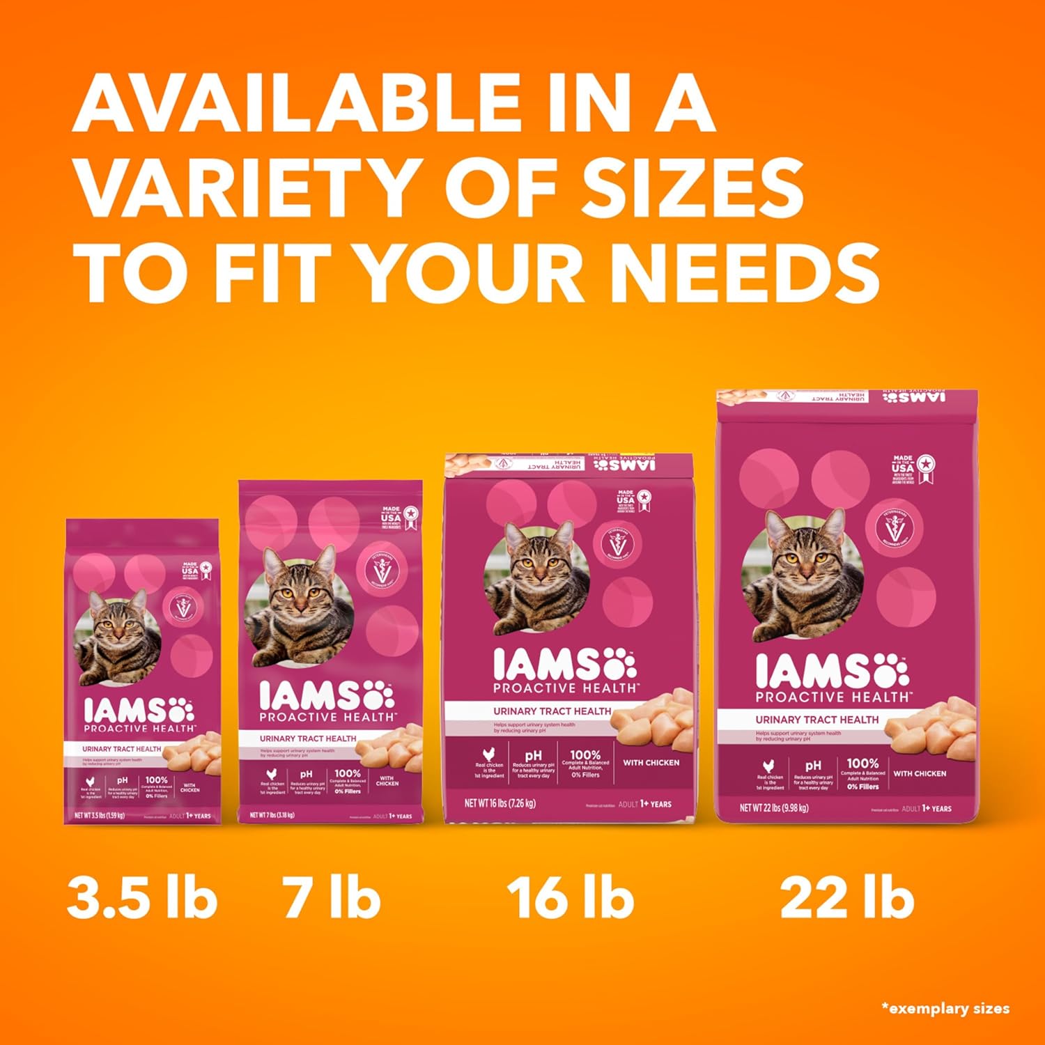 Nourriture sèche pour chats au poulet IAMS PROACTIVE HEALTH pour la santé des voies urinaires pour adultes, sac de 7 livres