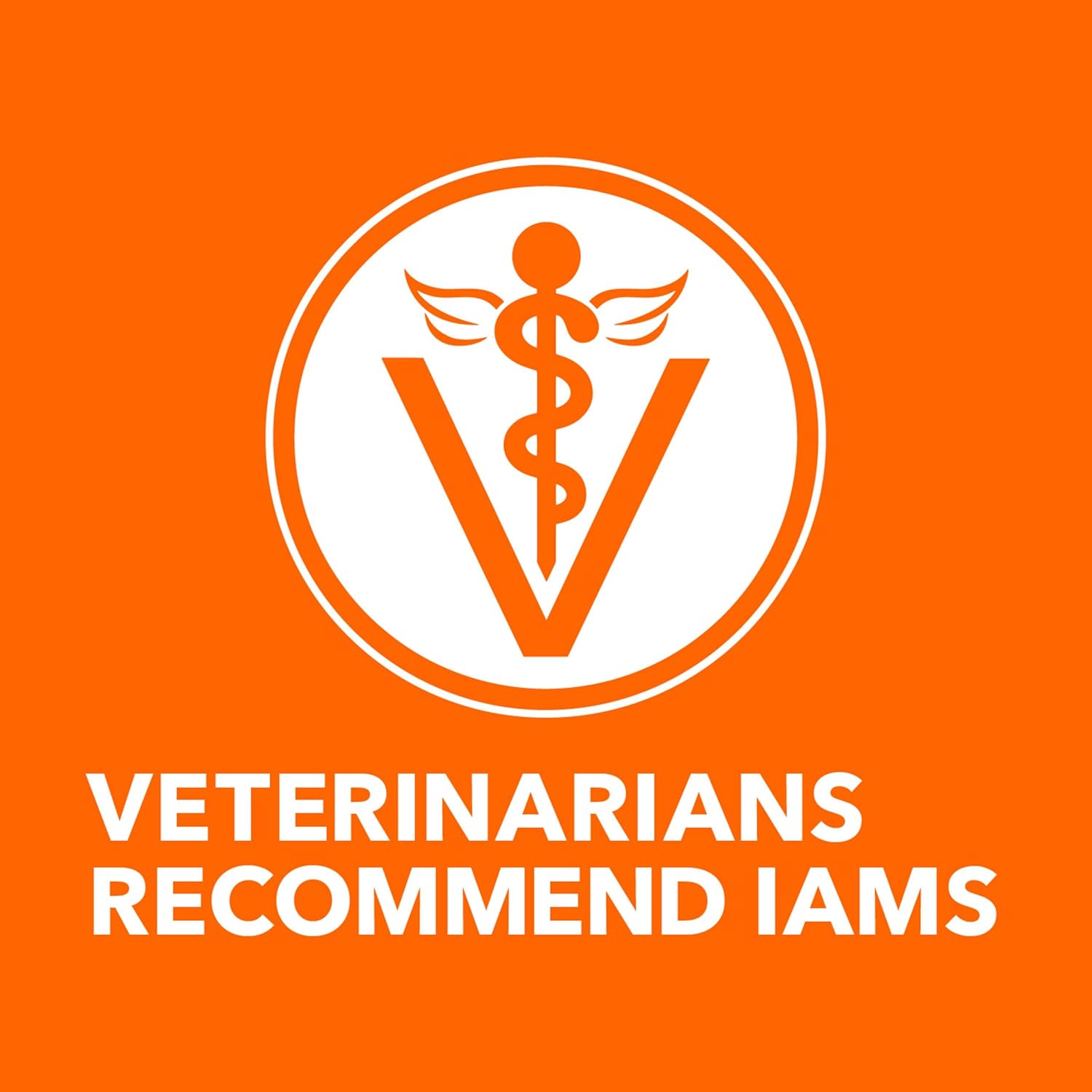 Nourriture sèche pour chats au poulet IAMS PROACTIVE HEALTH pour la santé des voies urinaires pour adultes, sac de 7 livres