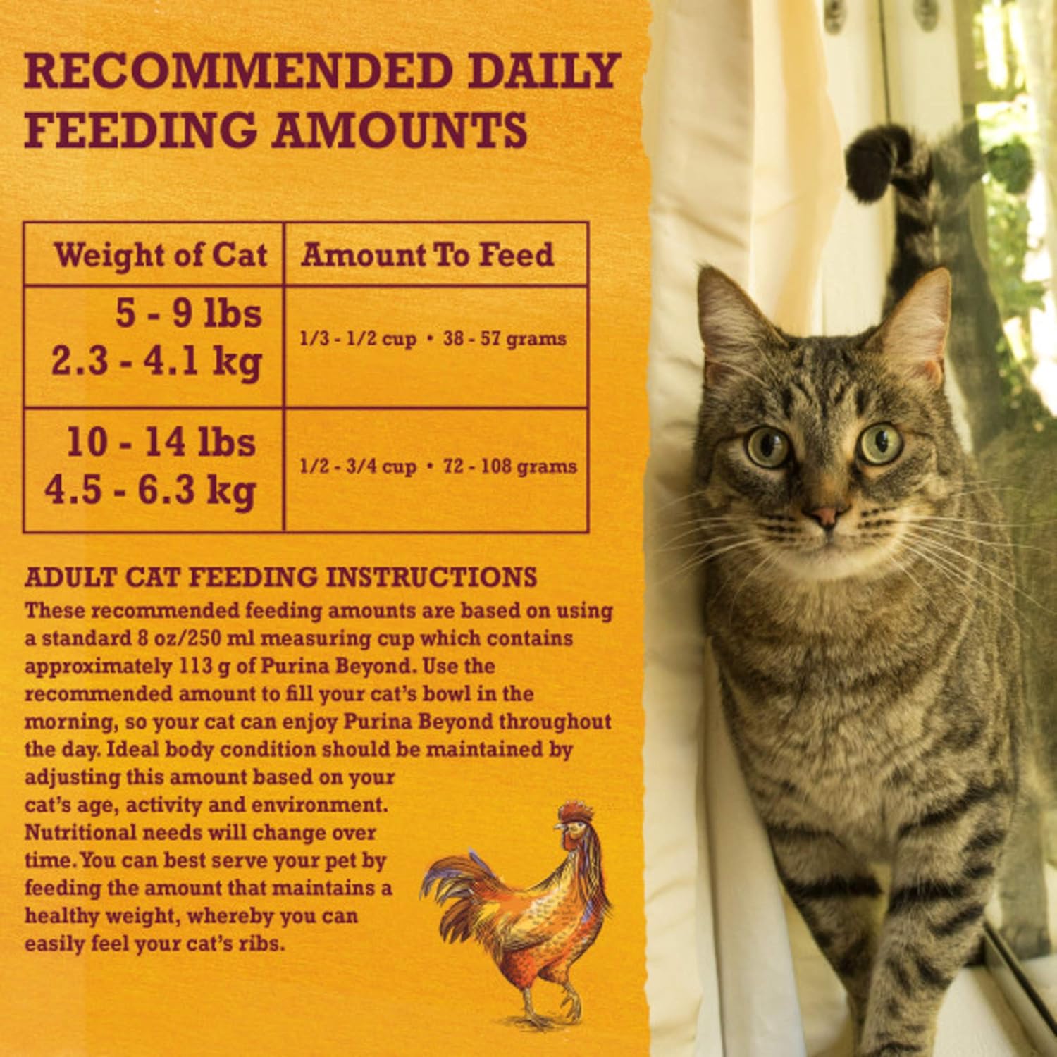Purina Beyond Grain Free White Meat Chicken and Egg Recipe Natural Cat Food High Protein Cat Food Dry Formula - 16 lb. Bag · v2