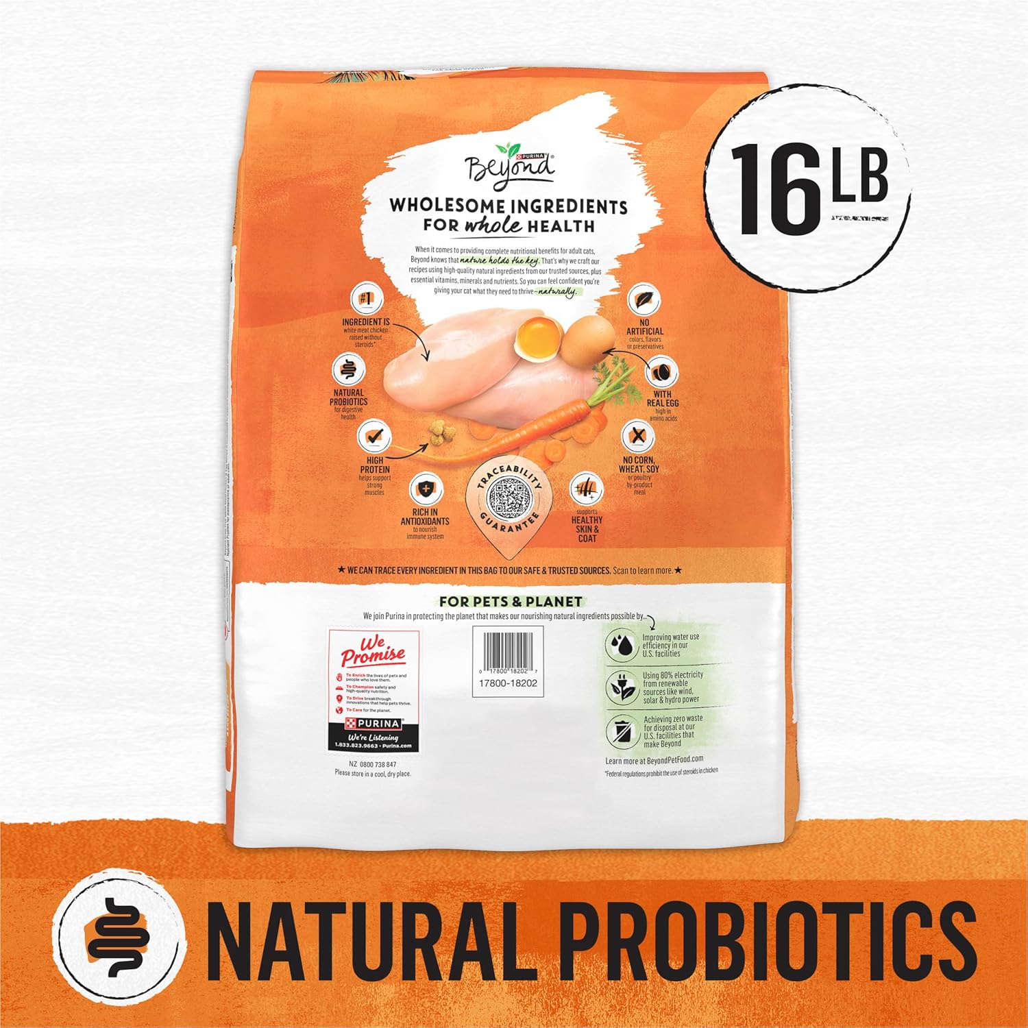 Purina Beyond Grain Free White Meat Chicken and Egg Recipe Natural Cat Food High Protein Cat Food Dry Formula - 16 lb. Bag · v2
