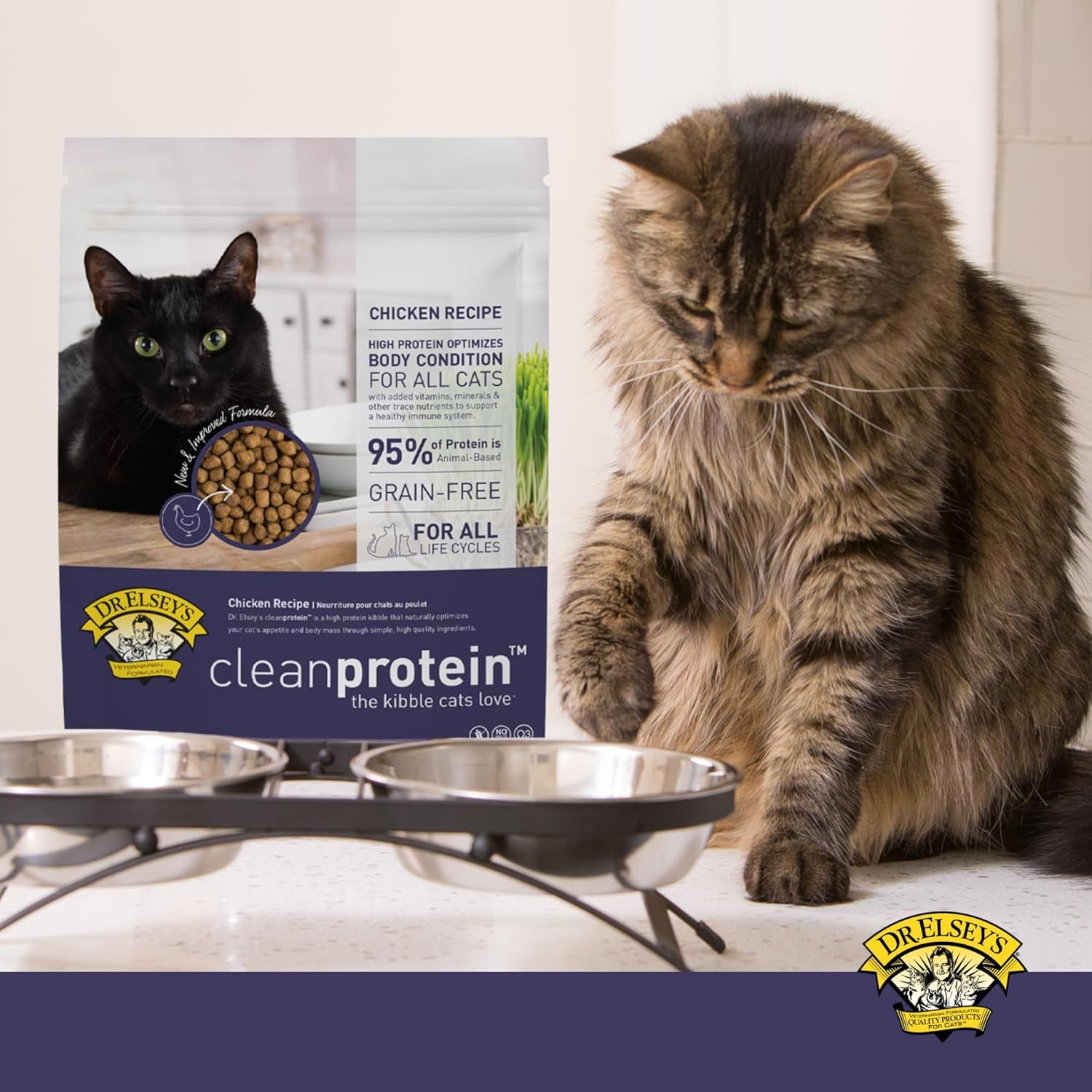 Dr. Elsey's Cleanprotein Grain Free 고단백, 저탄수화물 건조 고양이 사료, 닭고기, 2파운드, 1팩(포장은 다를 수 있음)
