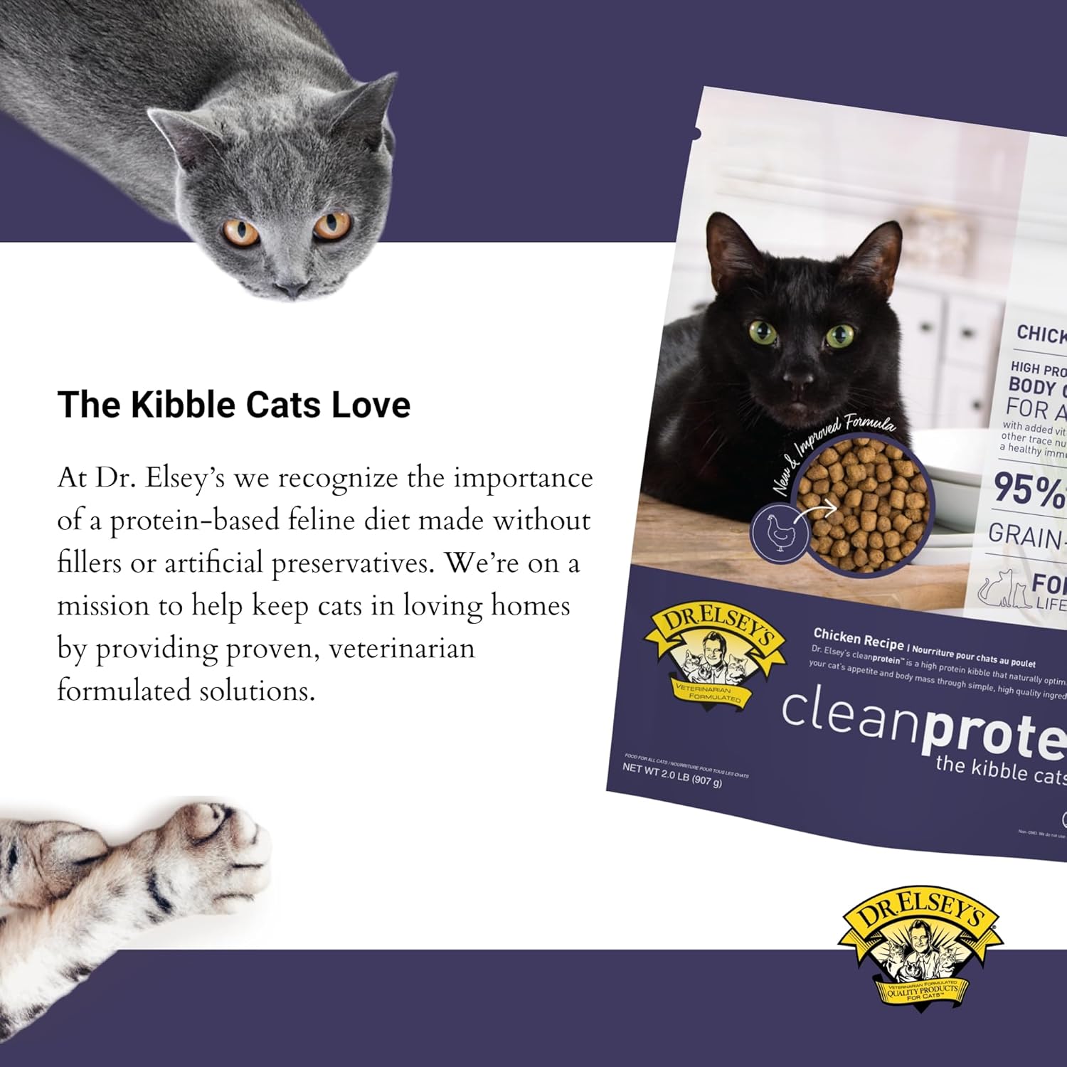 Dr. Elsey's Cleanprotein Grain Free 고단백, 저탄수화물 건조 고양이 사료, 닭고기, 2파운드, 1팩(포장은 다를 수 있음)