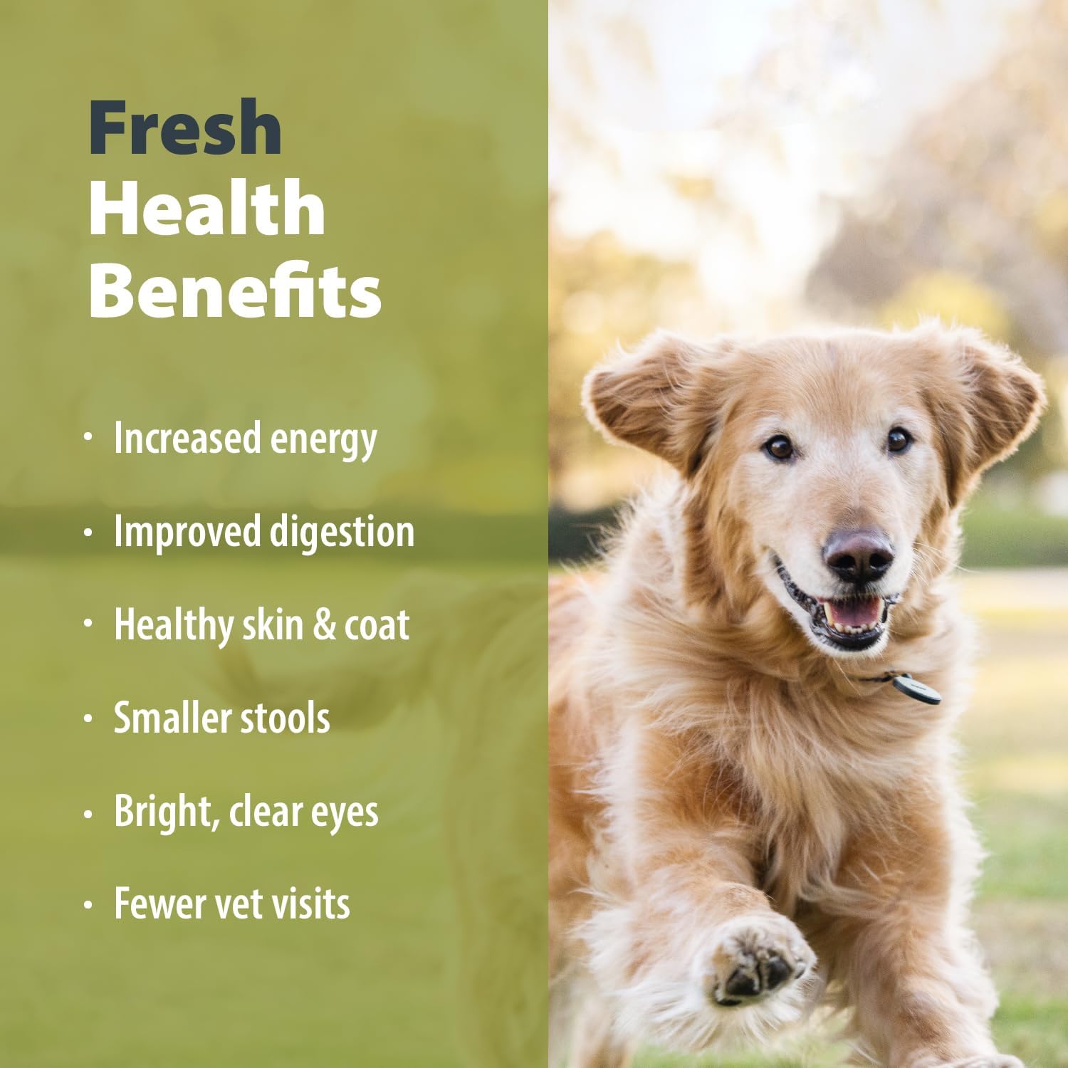 JustFoodForDogs Pantry Fresh Wet Dog Food, Complete Meal or Dog Food Topper, Chicken  White Rice Human Grade Dog Food Recipe - 12.5 oz (Pack of 6)