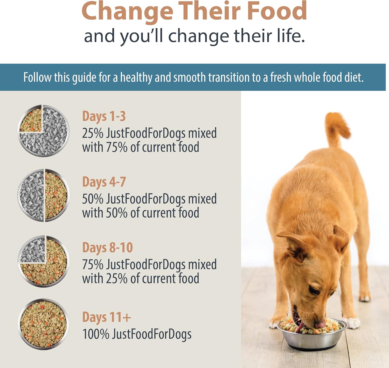 JustFoodForDogs Pantry Fresh Wet Dog Food, Complete Meal or Dog Food Topper, Chicken  White Rice Human Grade Dog Food Recipe - 12.5 oz (Pack of 6)