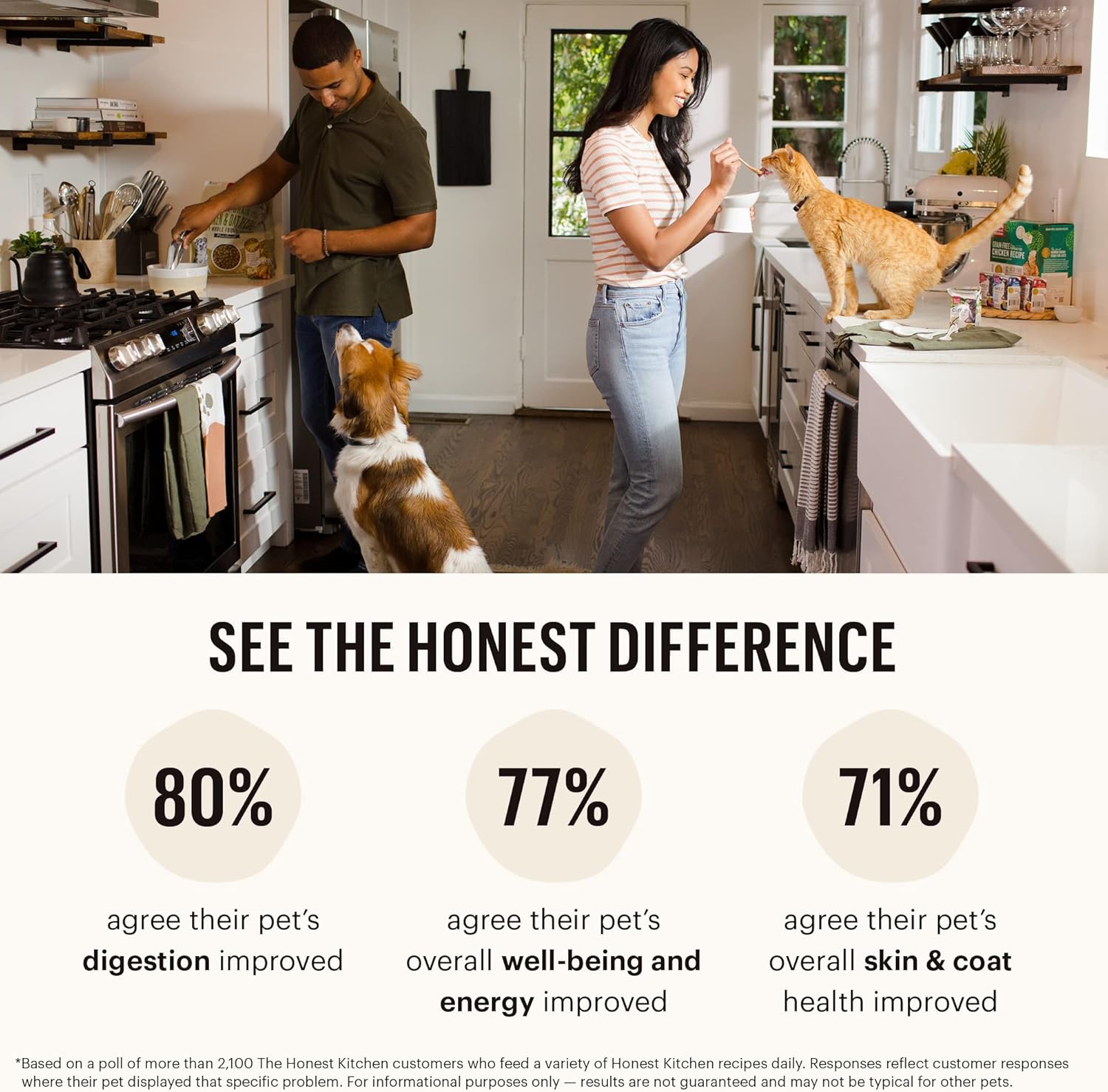 The Honest Kitchen Whole Food Clusters Grain Free Turkey Dry Dog Food, 20 lb Bag