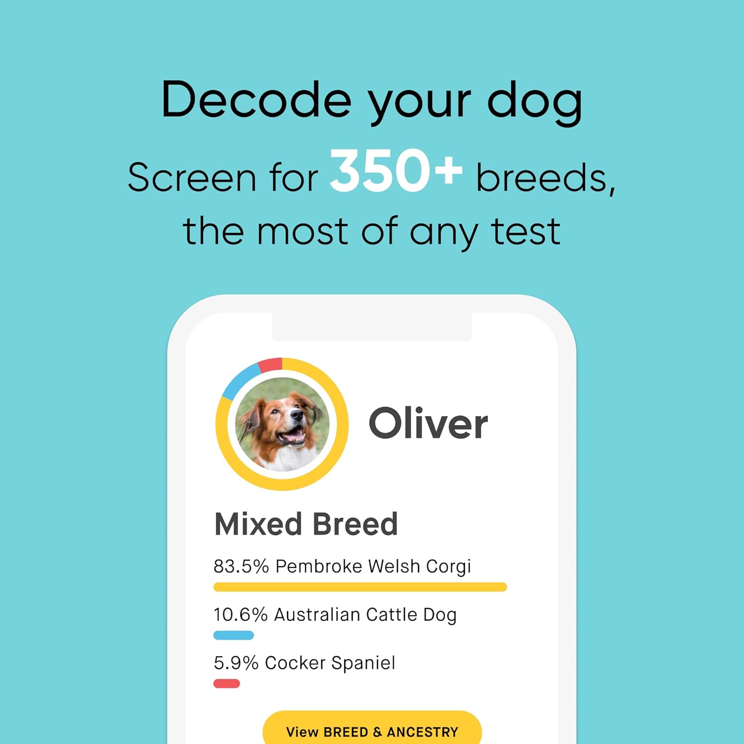 Embark Breed Identification Kit | Most Accurate Dog DNA Test | Test 350  Dog Breeds | Breed ID Kit with Ancestry  Family Tree · v4