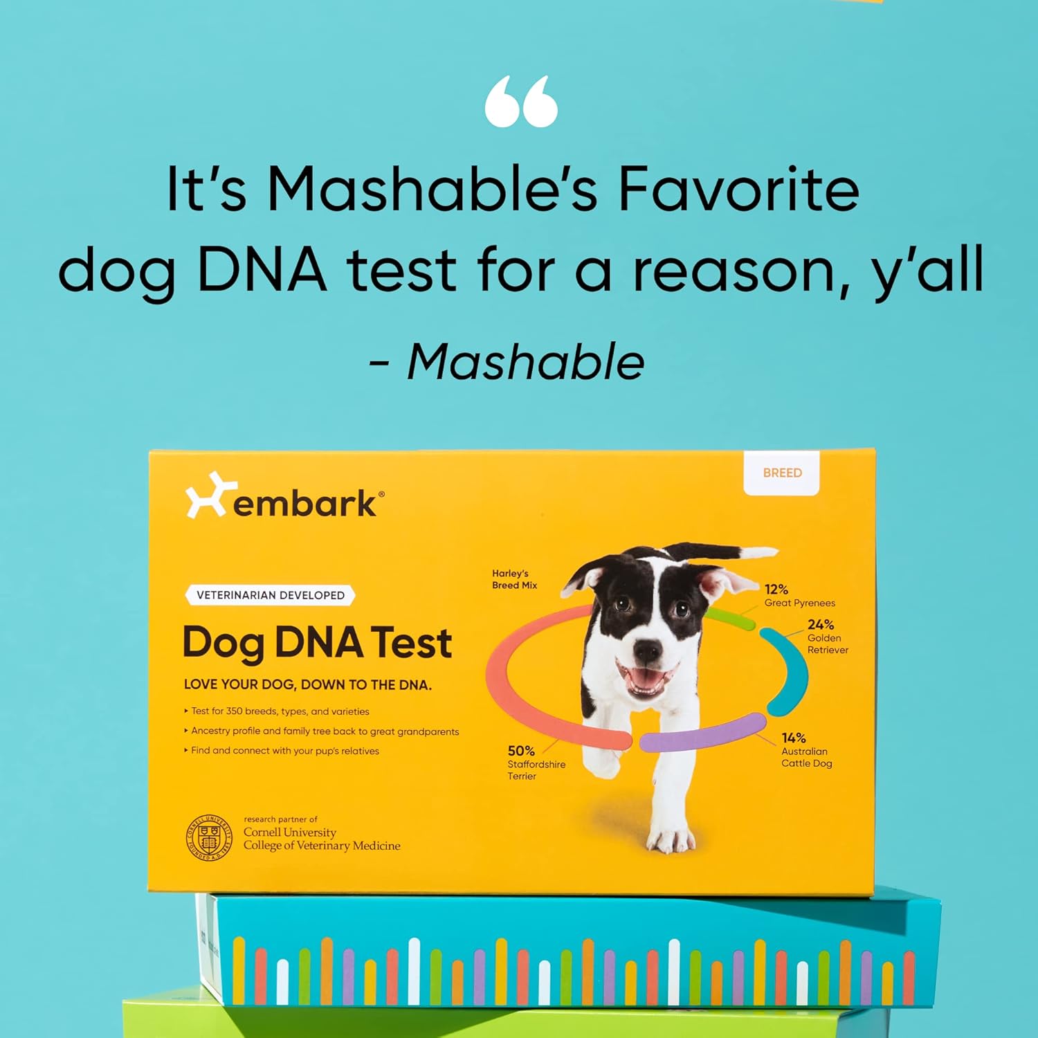 Embark Breed Identification Kit | Most Accurate Dog DNA Test | Test 350  Dog Breeds | Breed ID Kit with Ancestry  Family Tree · v4