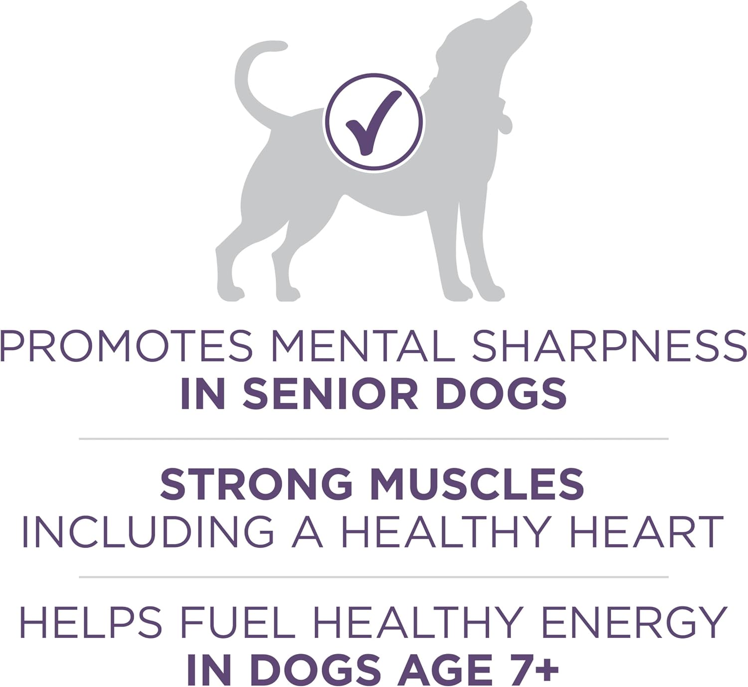 Purina ONE High Protein Dry Senior Dog Food Plus Vibrant Maturity Adult 7 Plus Formula - (Pack of 4) 4 lb. Bags