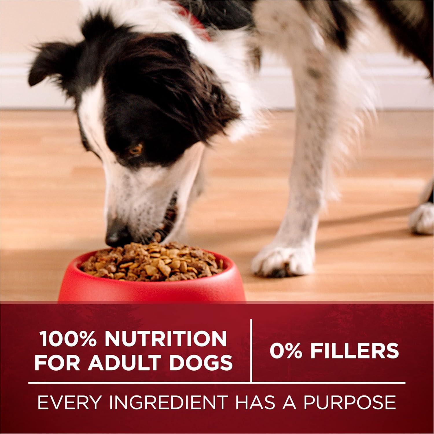 Nourriture sèche pour chiens Purina ONE True Instinct contenant un mélange de vraie dinde et de gibier - (Lot de 4) sacs de 3,8 livres