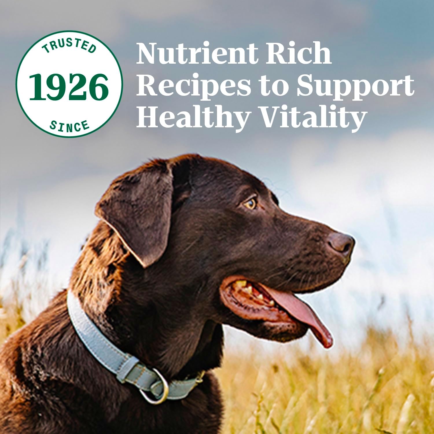 Nourriture sèche pour chiens Nutro Natural Choice pour adultes, recette de bœuf et de riz brun, 28 livres