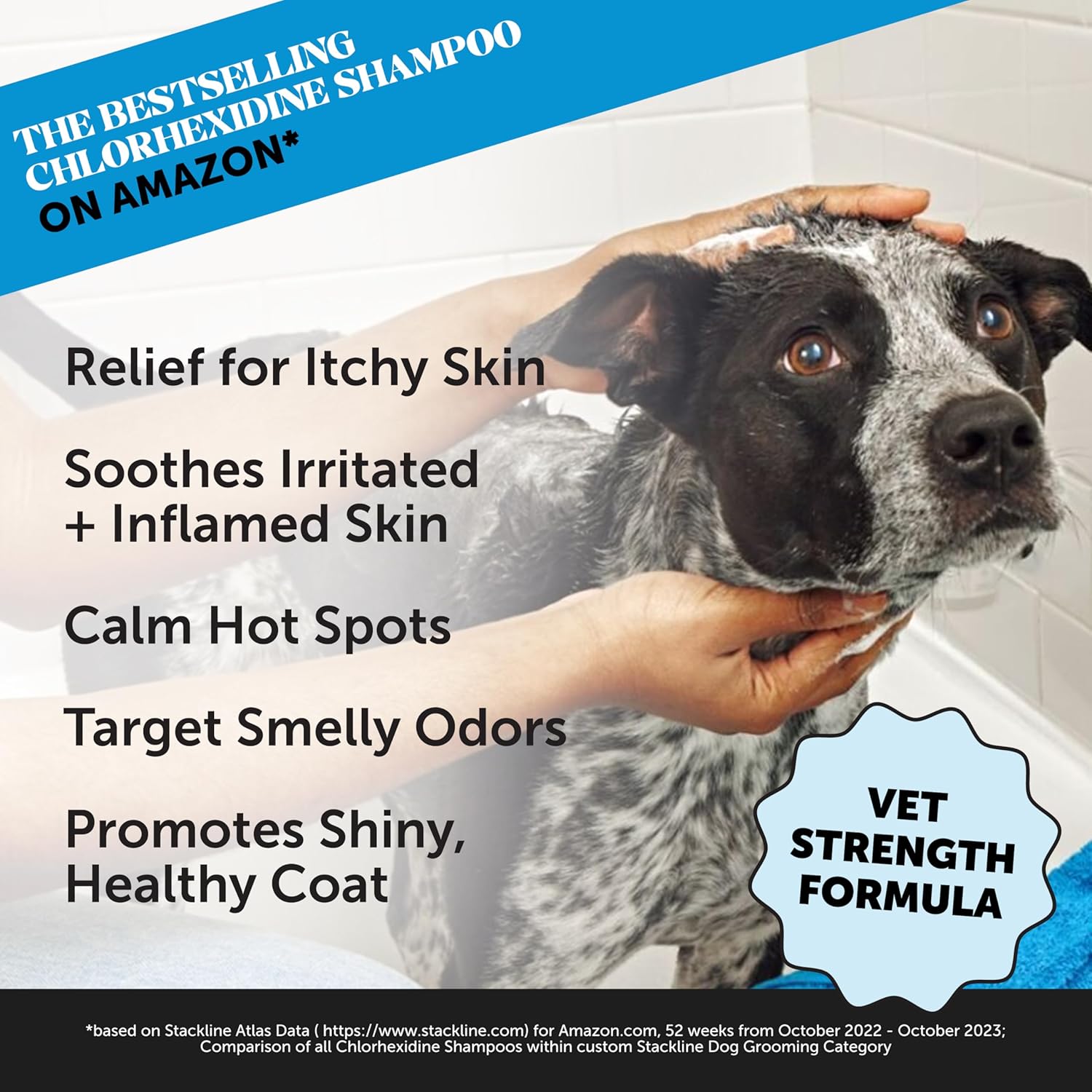 Shampoo antiprurito per cani e gatti con clorexidina Pet Honesty, per allergie, prurito, integratore per pelle e pelo del cane, aiuta la perdita di pelo, punti caldi, shampoo deodorante per cani, prodotti per la toelettatura dei cani, 16 once