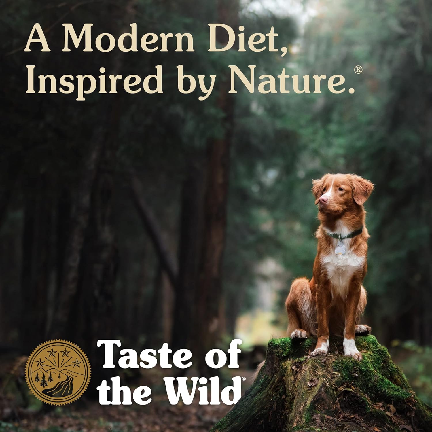 Pienso seco para perros Taste of the Wild Wetlands, sin cereales, con pato asado, 28 libras