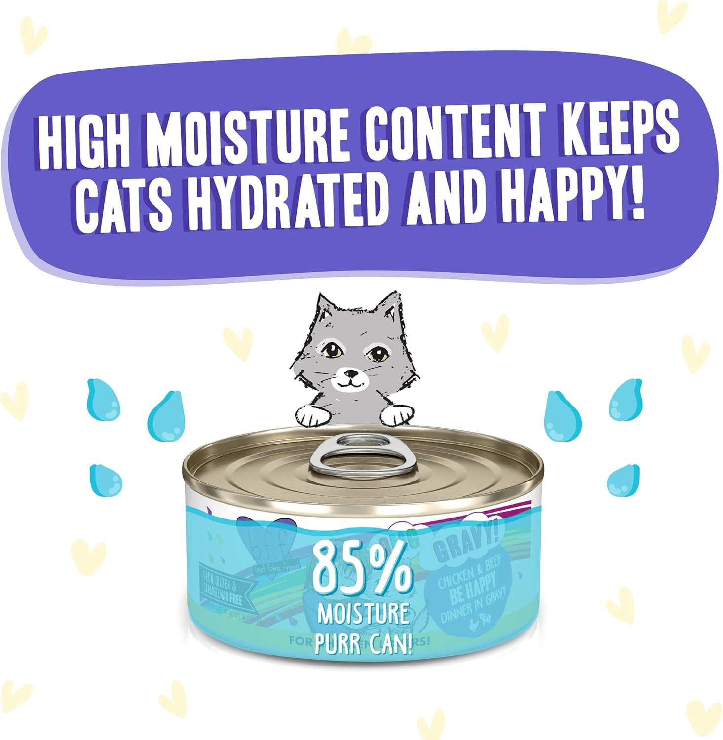 Weruva B.F.F. OMG - Best Feline Friend Oh My Gravy!, Chicken  Beef Be Happy with Chicken amp; Beef in Gravy, 5.5oz Can (Pack of 8) · v6