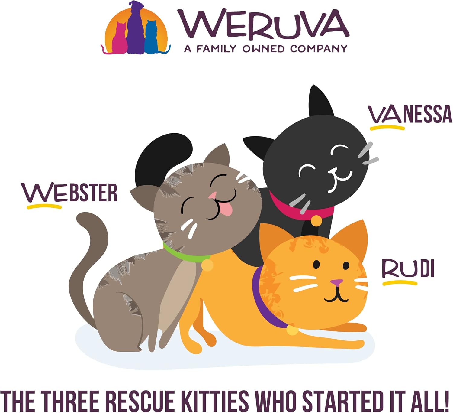 Weruva B.F.F. OMG - Best Feline Friend Oh My Gravy!, Chicken  Beef Be Happy with Chicken amp; Beef in Gravy, 5.5oz Can (Pack of 8) · v6