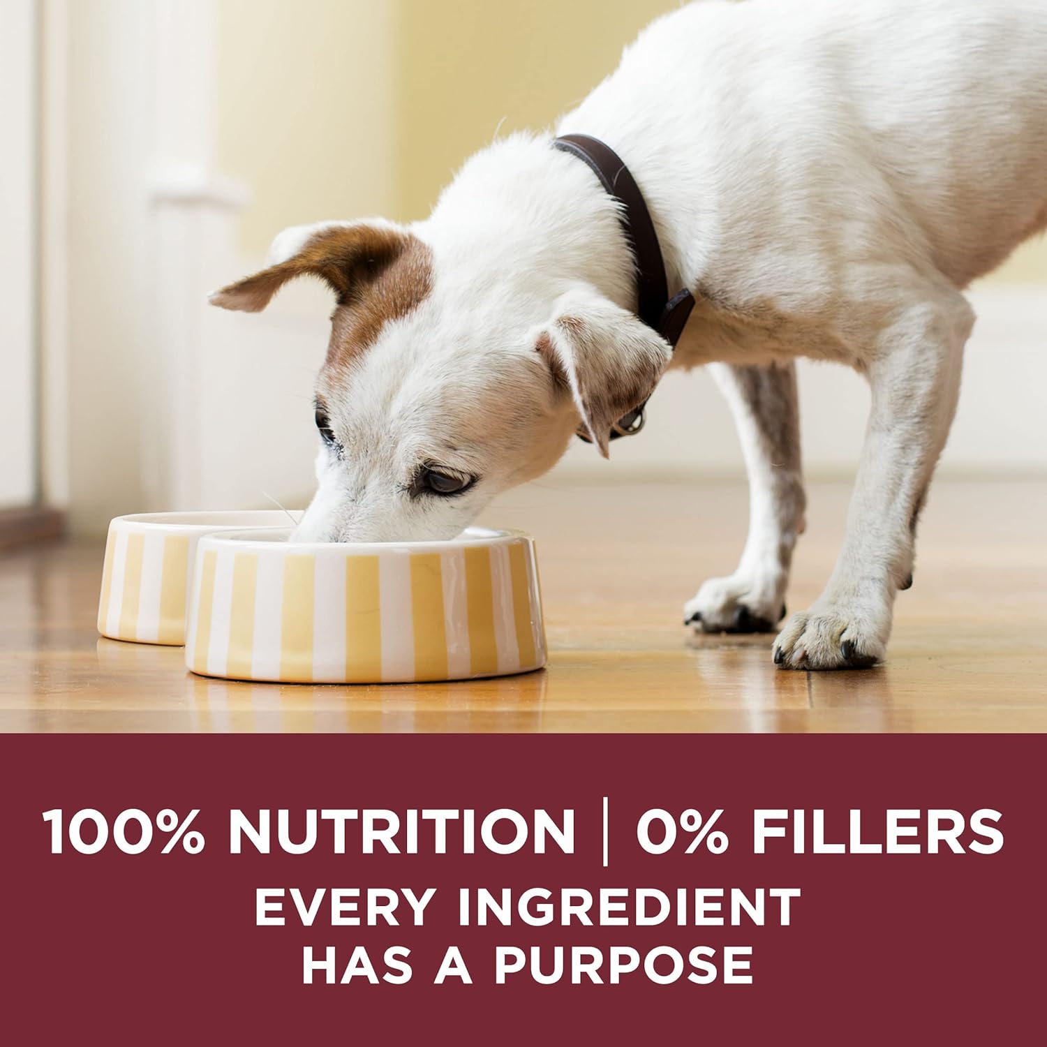 Purina ONE True Instinct Tender Cuts in Sauce avec de la vraie dinde et du vrai gibier, ainsi que de la nourriture humide pour chiens riche en protéines au poulet et au canard - (lot de 12) boîtes de 13 oz