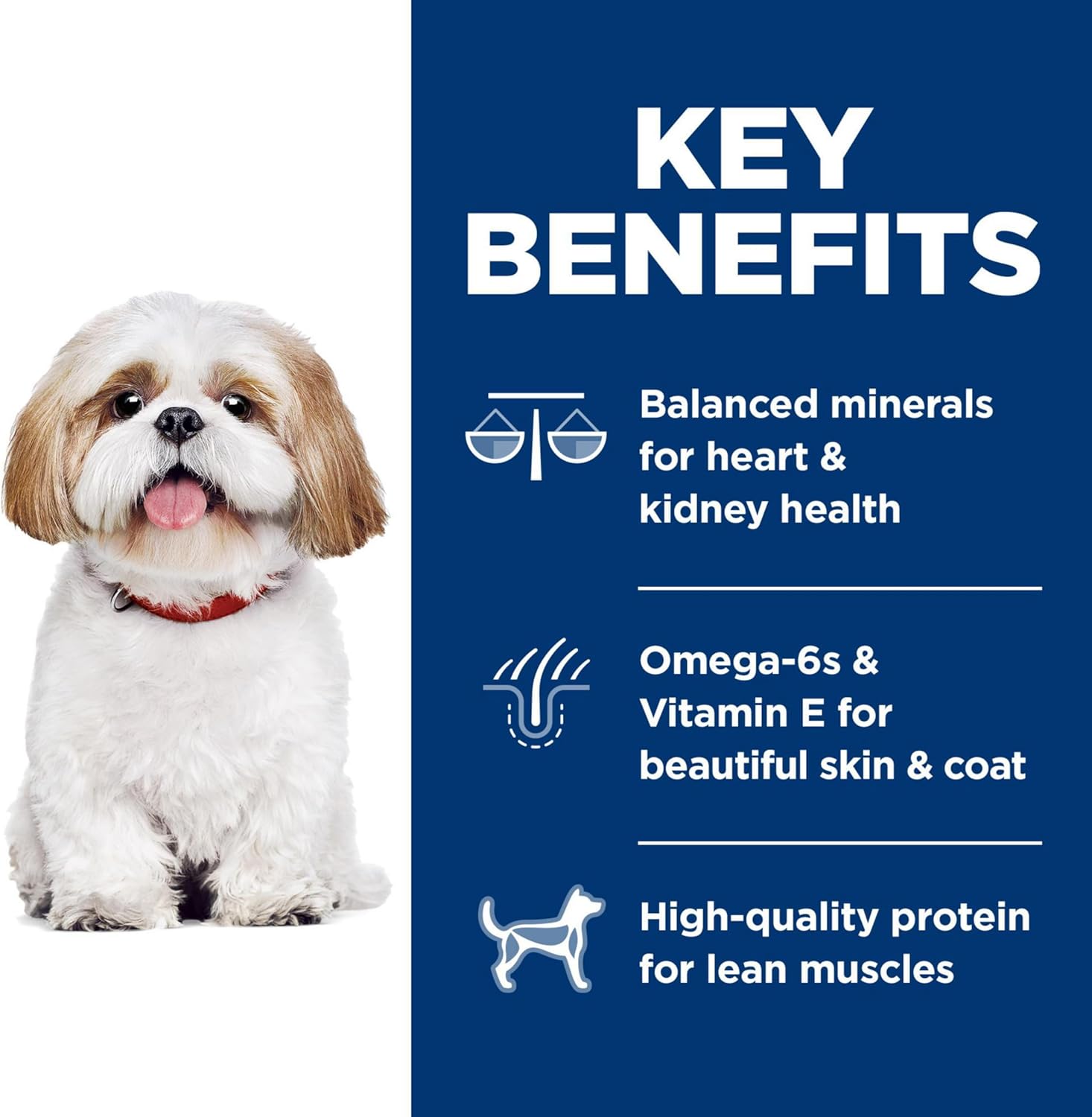 Hills Science Diet Adult 7 , Senior Adult 7  Premium Nutrition, Small Kibble, Dry Dog Food, Chicken, Brown Rice,  Barley, 15 lb Bag