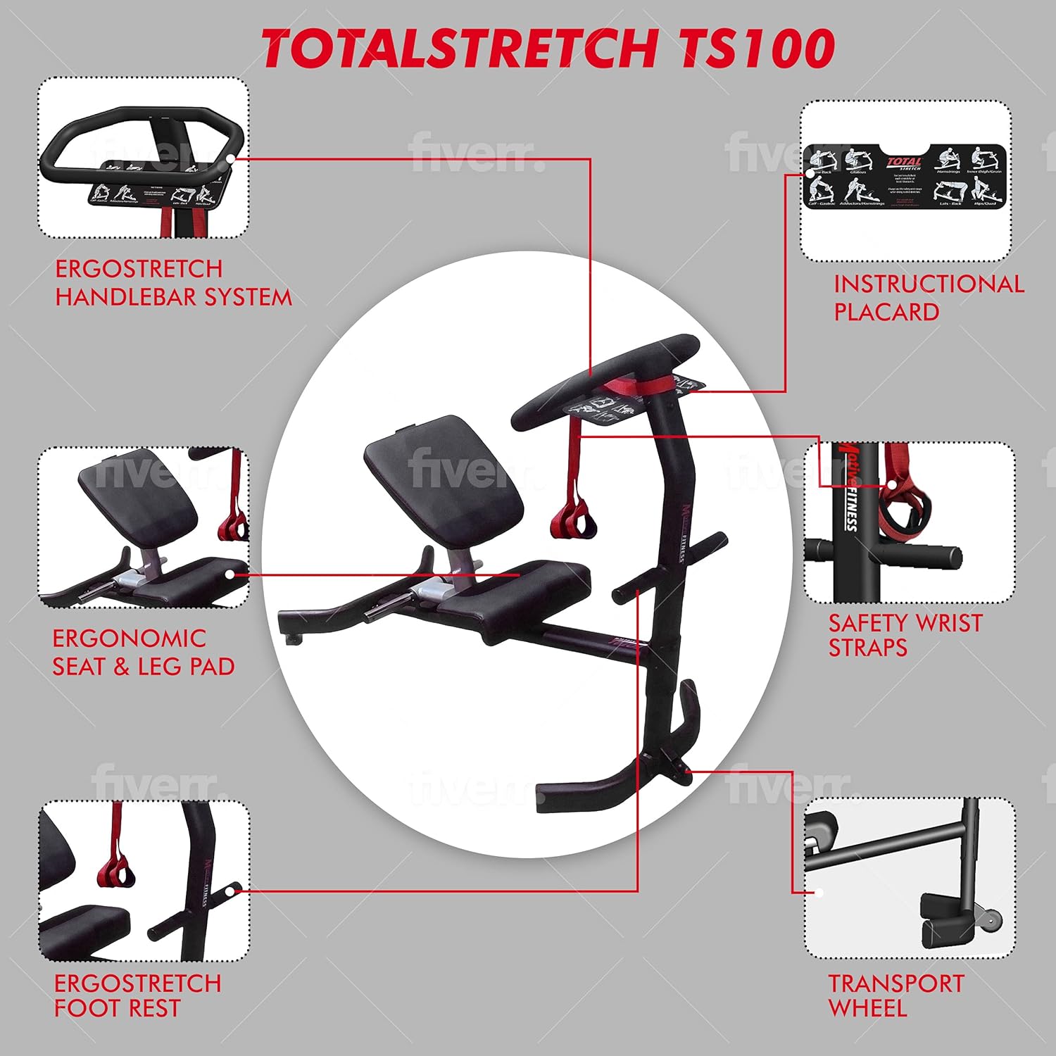 TotalStretch TS100 Commercial Back  Body Stretching Machine · v4
