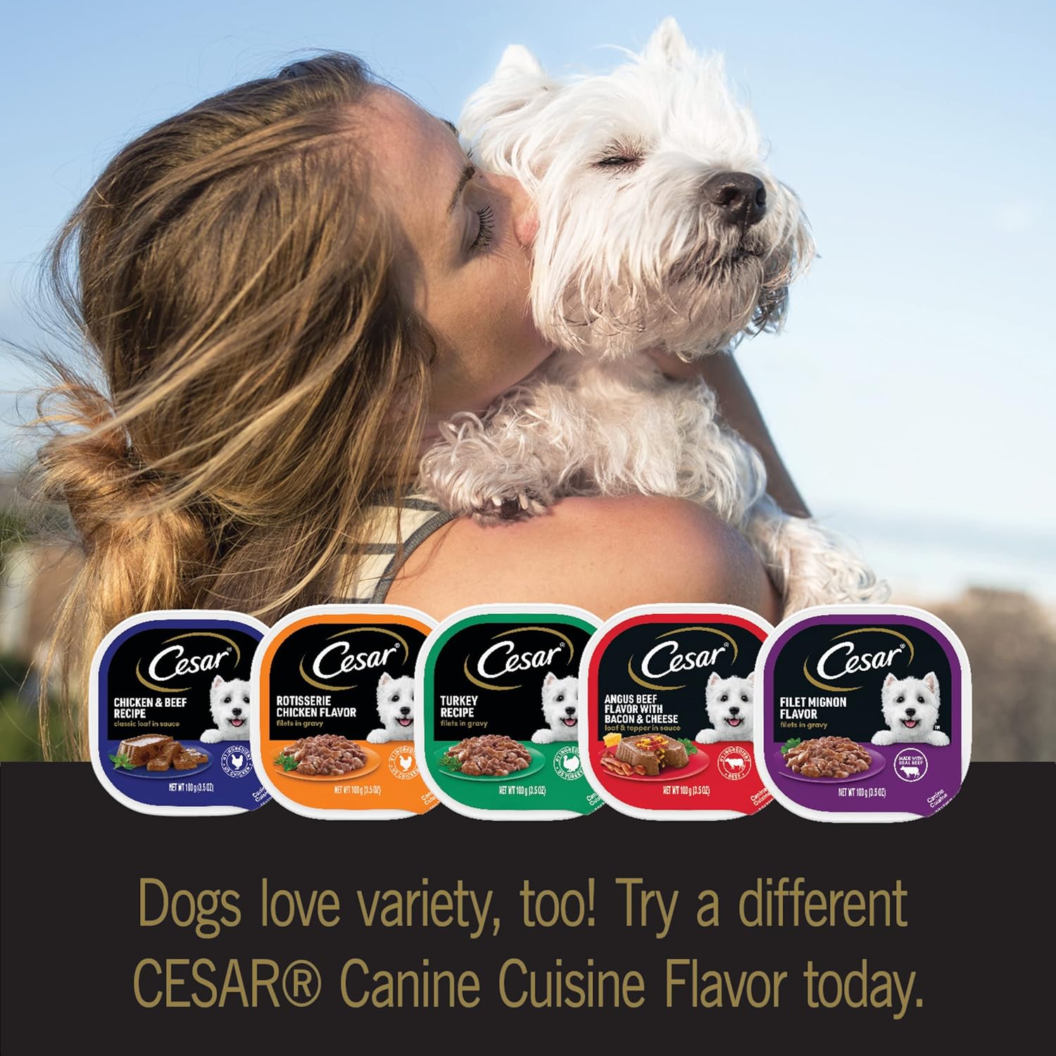 CESAR HOME DELIGHTS 成犬用ウェットフード クラシックローフインソース 朝食・夕食用バラエティパック (24) 3.5オンス イージーピールトレイ