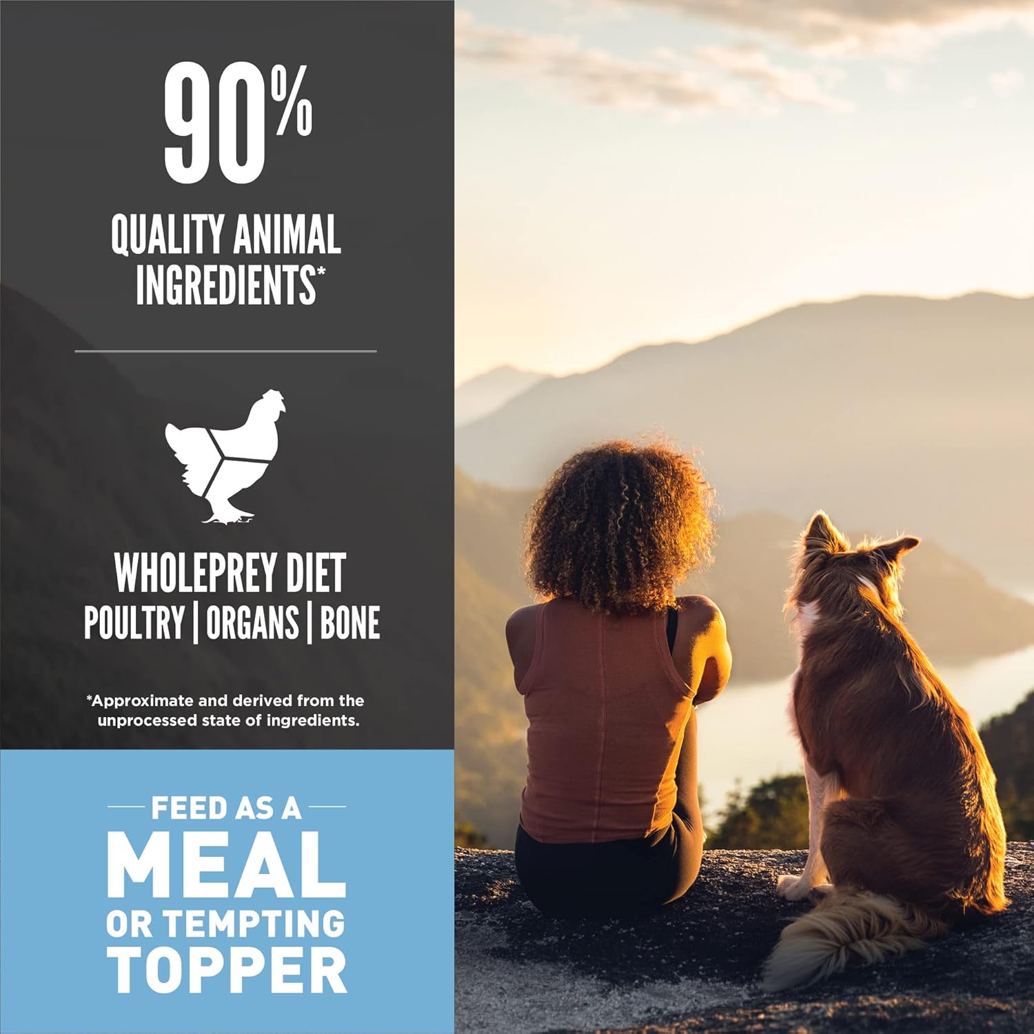 ORIJEN Original gefriergetrocknete Medaillons, getreidefreies Trockenfutter für Hunde und Topper, WholePrey Ingredients, 16 Unzen