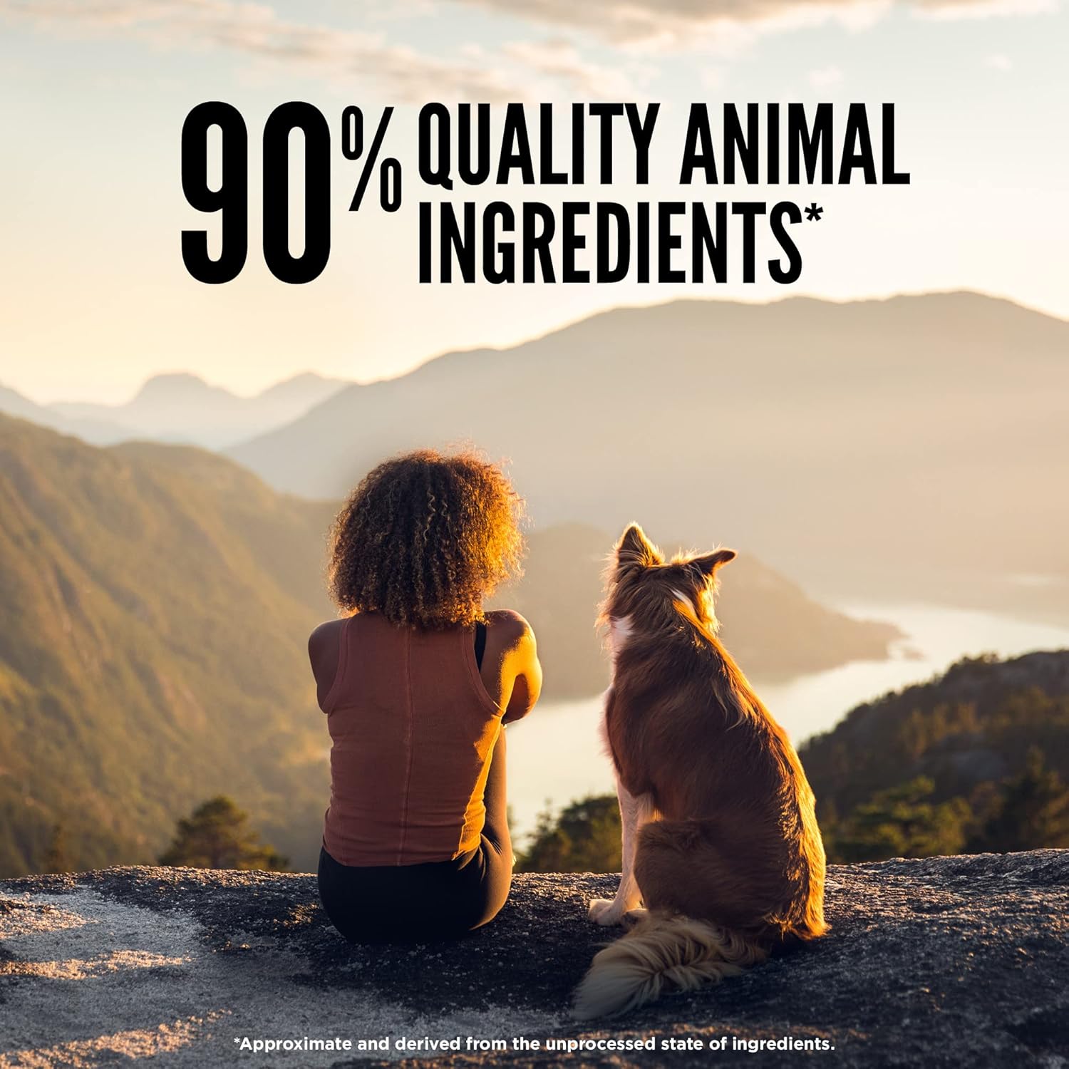 ORIJEN Original gefriergetrocknete Medaillons, getreidefreies Trockenfutter für Hunde und Topper, WholePrey Ingredients, 16 Unzen