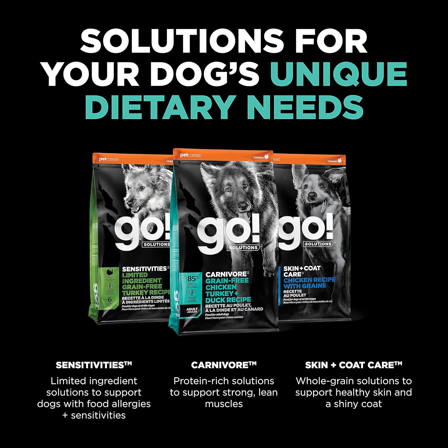 Go! Solutions Carnivore Grain Free Dog Food for Adult Dogs, 12 lb – Chicken, Turkey   Duck Recipe – Protein Rich Dry Dog Food – Complete   Balanced Nutrition for Adult Dogs · v2