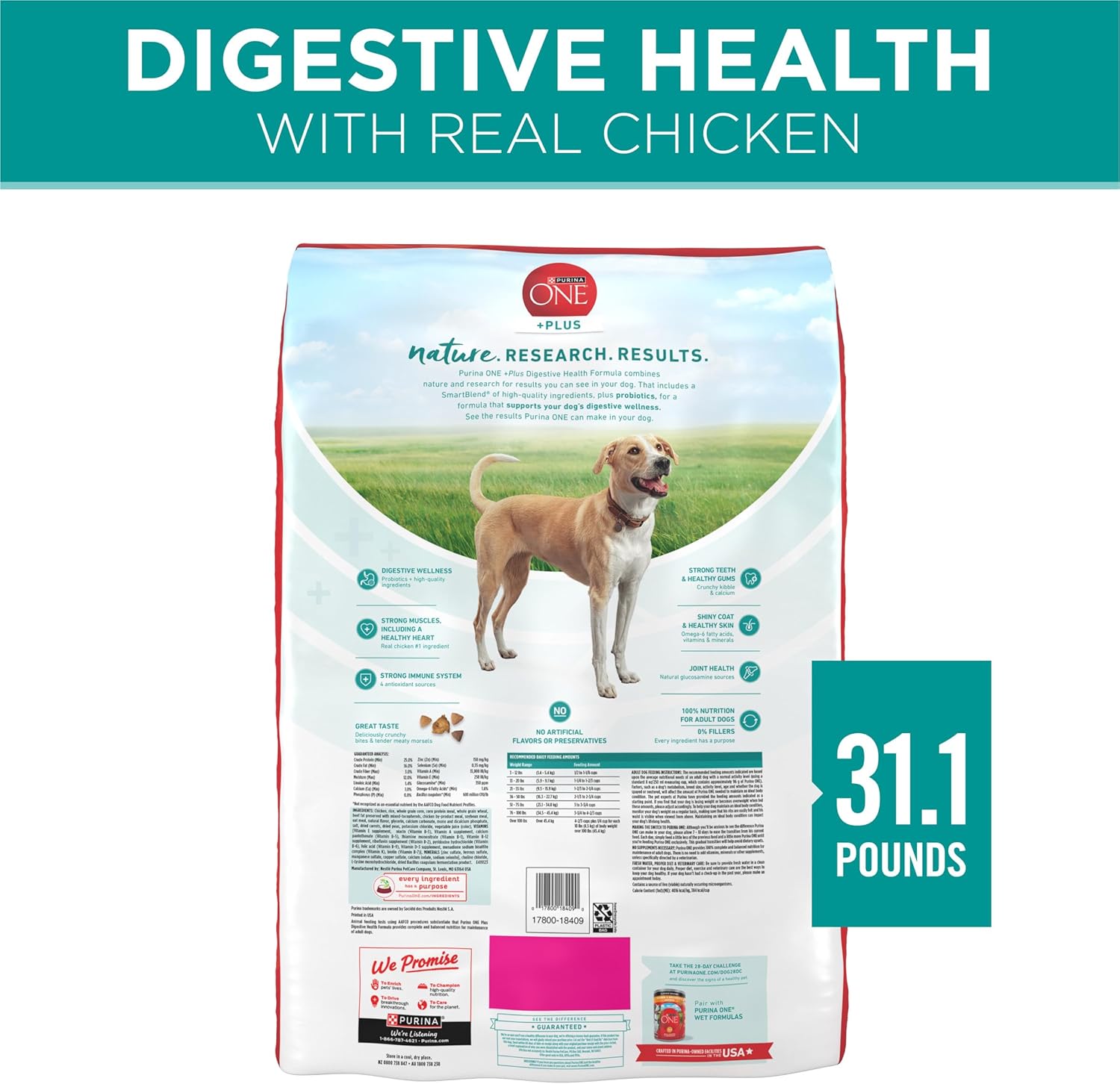 Purina One Plus Digestive Health Formula Droogvoer voor honden, natuurlijk met toegevoegde vitaminen, mineralen en voedingsstoffen - zak van 31,1 pond