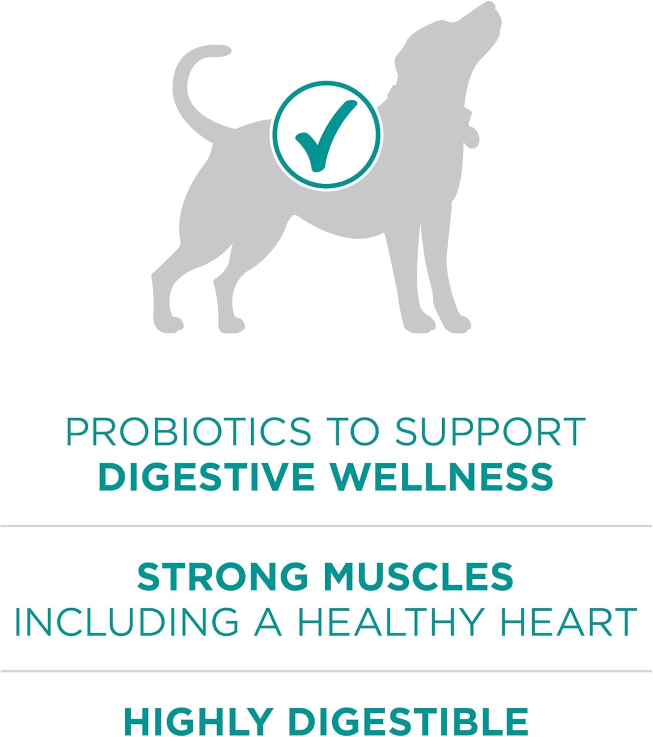 Nourriture sèche pour chiens Purina One Plus Digestive Health Formula, naturelle, avec vitamines, minéraux et nutriments ajoutés, sac de 16,5 livres