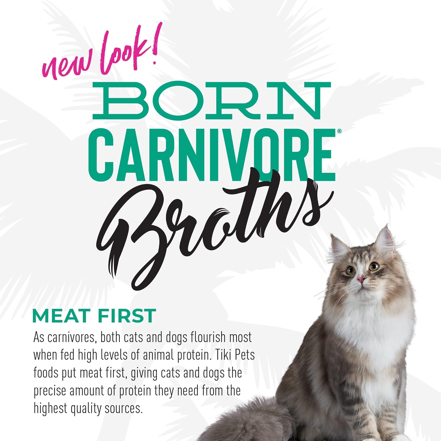 Tiki Cat Born Carnivore Broths, Tuna Recipe, Hydration and Flavor Supplement Cat Food Topper, 1.3 oz. Pouch (Pack of 12) · v2