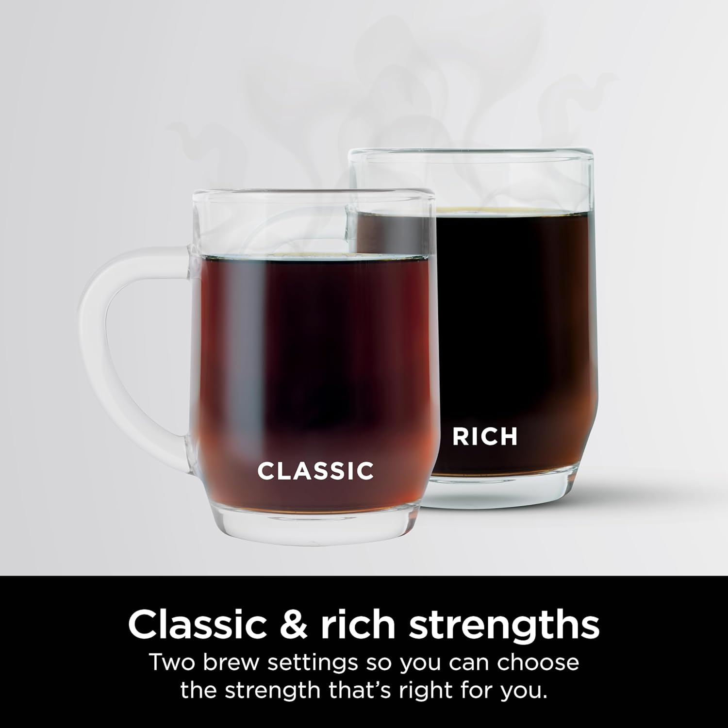 Ninja 12-Cup Programmable Coffee Brewer, 2 Brew Styles, Adjustable Warm Plate, 60oz Water Reservoir, Delay Brew - Black/Stainless Steel · v2