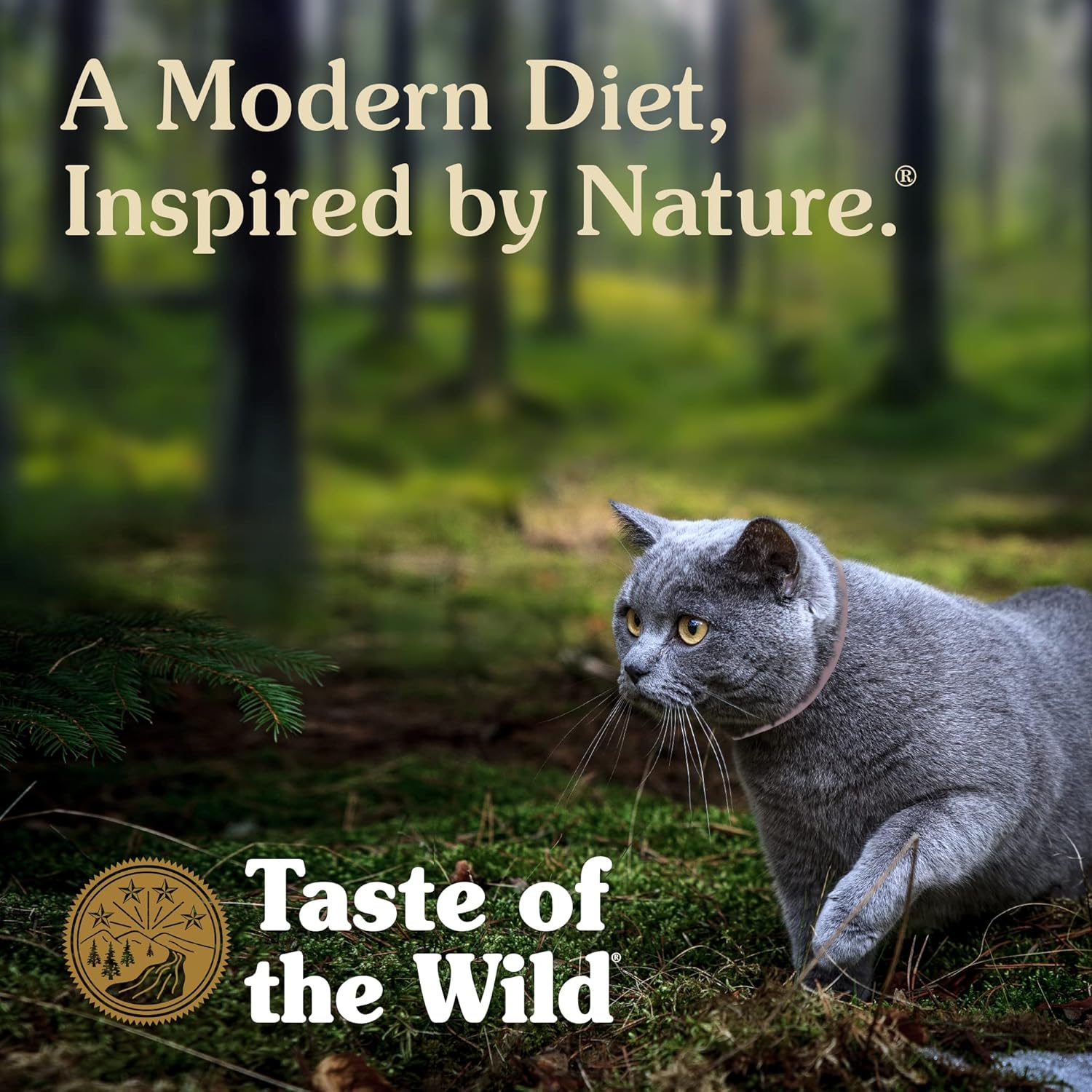 Nourriture sèche de qualité supérieure pour chats et chatons Taste of the Wild, riche en protéines, contenant des superaliments et des nutriments tels que des probiotiques, des vitamines et des antioxydants