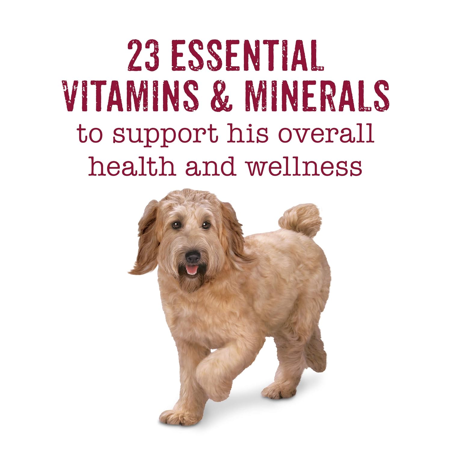 Purina Beneful Wet Dog Food Variety Pack, Prepared Meals  Chopped Blends - (16) 10 oz. Tubs