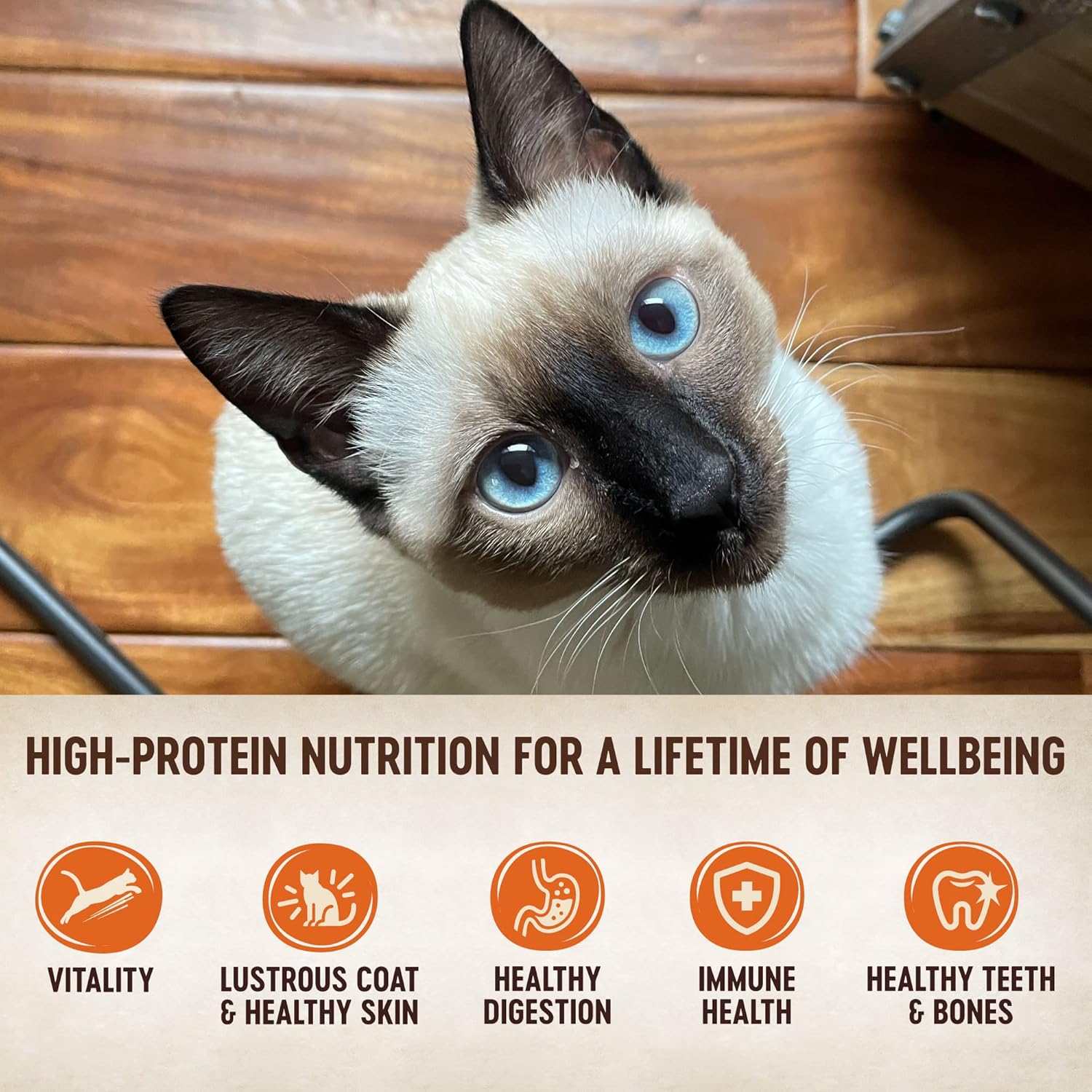 Alimento húmedo para gatos Wellness CORE Signature Selects, alimento natural para mascotas hecho con carne auténtica (paquete variado de mariscos, lata de 2.8 onzas, paquete de 8)