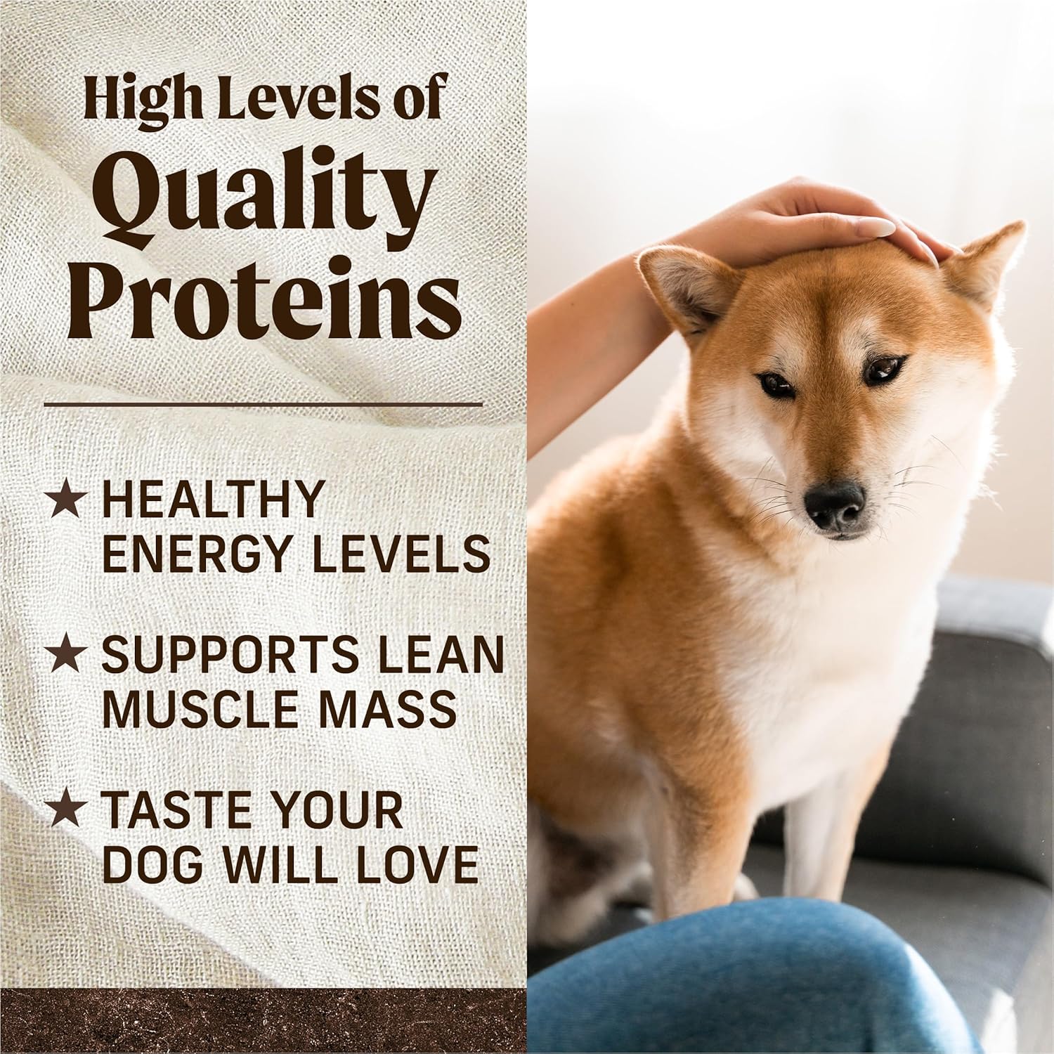 Alimento seco Merrick Premium sin cereales para perros adultos, croquetas sanas y naturales, auténtica carne de res y batata de Texas, bolsa de 10 libras
