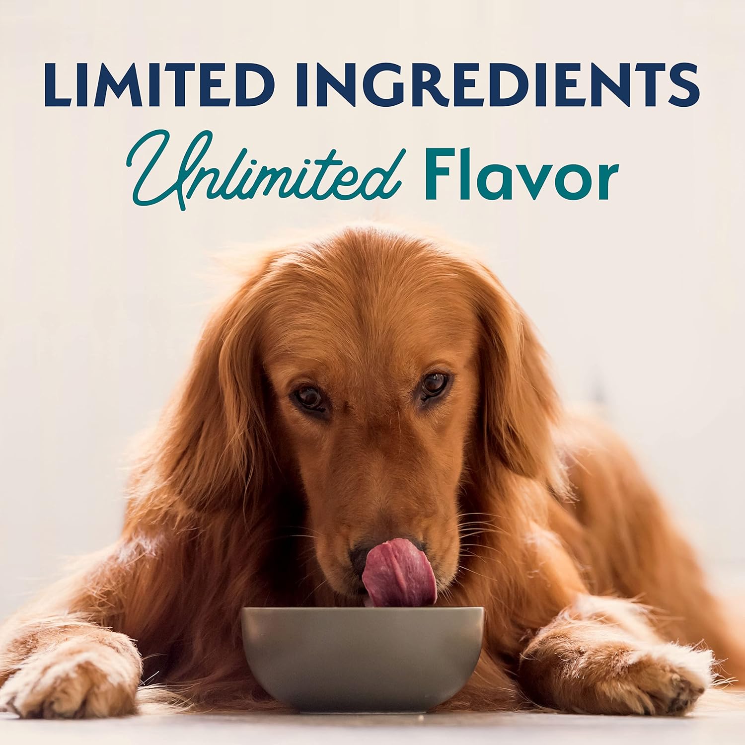 Natural Balance Limited Ingredient Adult Dry Dog Food with Healthy Grains, Chicken  Brown Rice Recipe, 12 Pound (Pack of 1) · v2