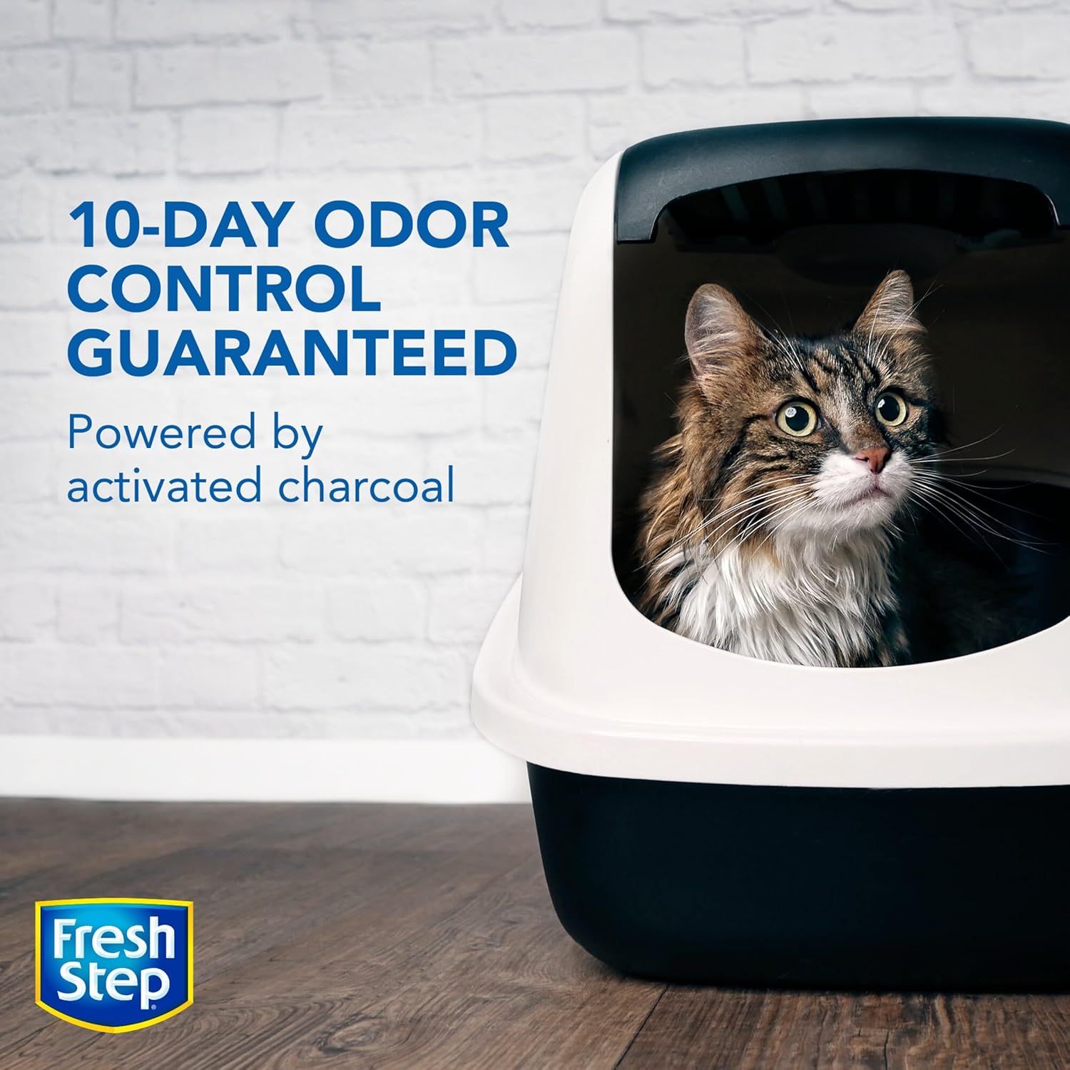 Litière non parfumée pour chats Fresh Step Advanced, paquet de 2 (37,58 lb/17,04 kg, très grande, peu poussiéreuse, agglomérante, charbon actif)