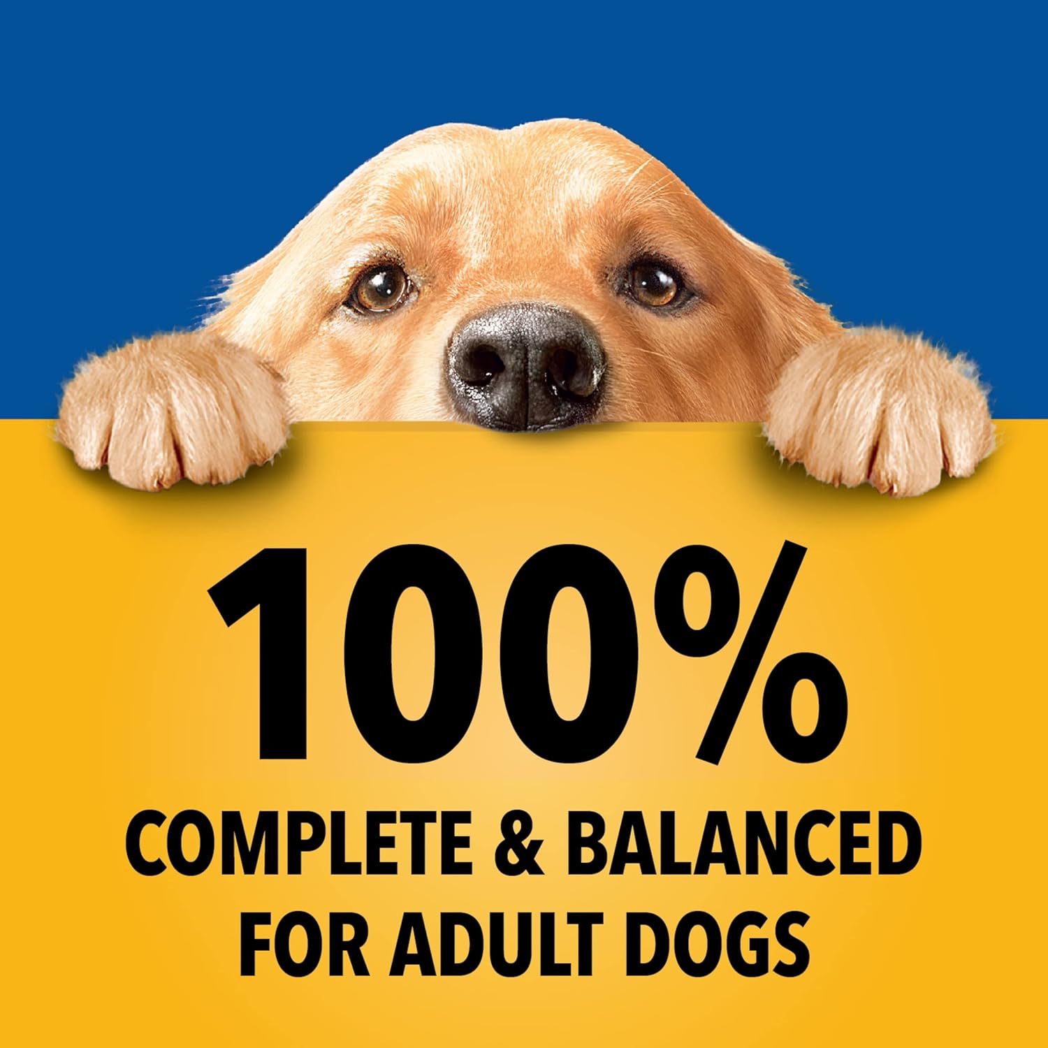 PEDIGREE CHOICE CUTS IN GRAVY, gevarieerd pakket voor zacht nat hondenvoer voor volwassenen, met de smaak Country Stew en Chicken Rice, 13,2 oz. Blikjes (verpakking van 24)