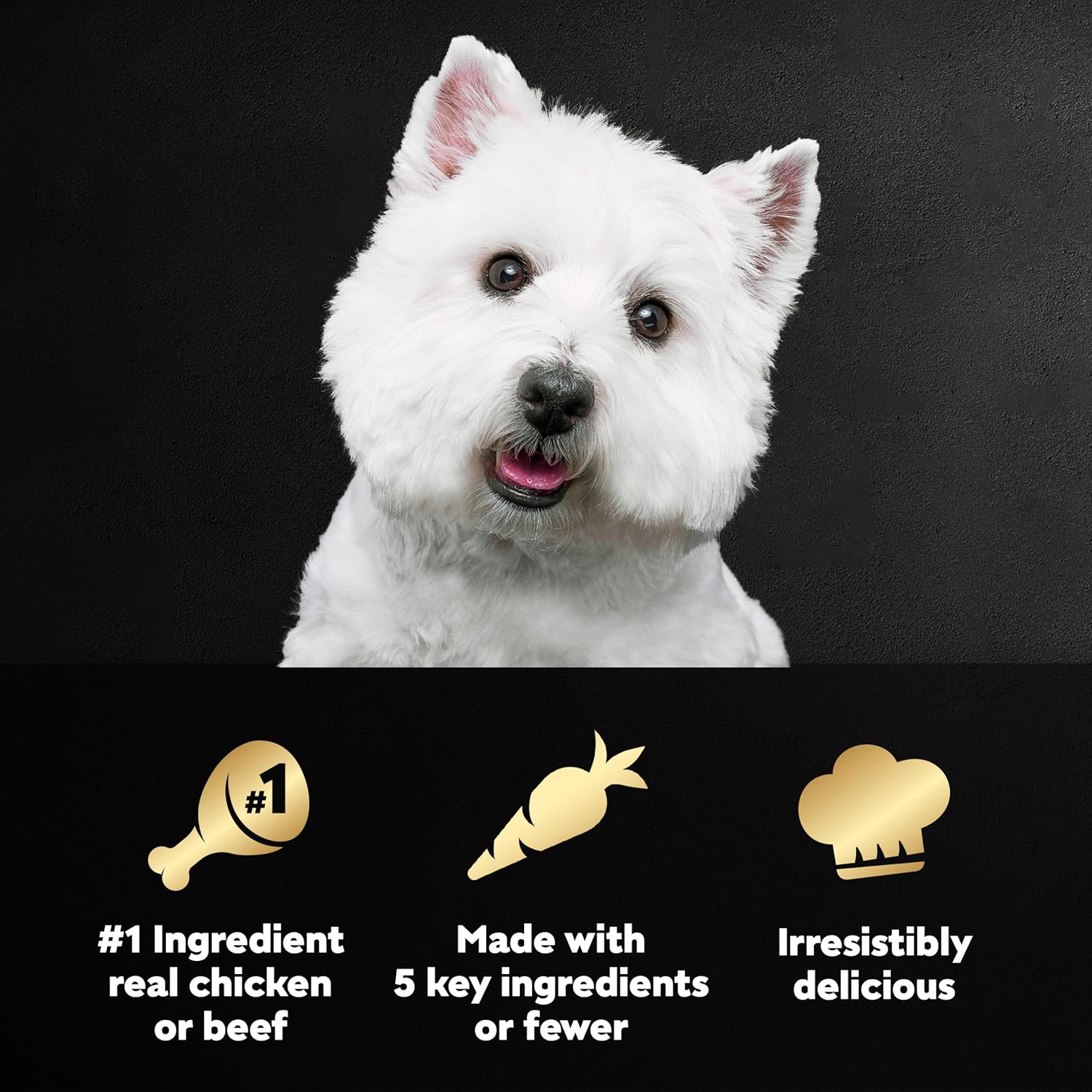 CESAR Simply Crafted Adult Wet Dog Food Meal Topper, Chicken, Carrots  Green Beans and Beef, Chicken, Purple Potatoes, Peas amp; Carrots Variety Pack, 1.3 oz., Pack of 16 · v2