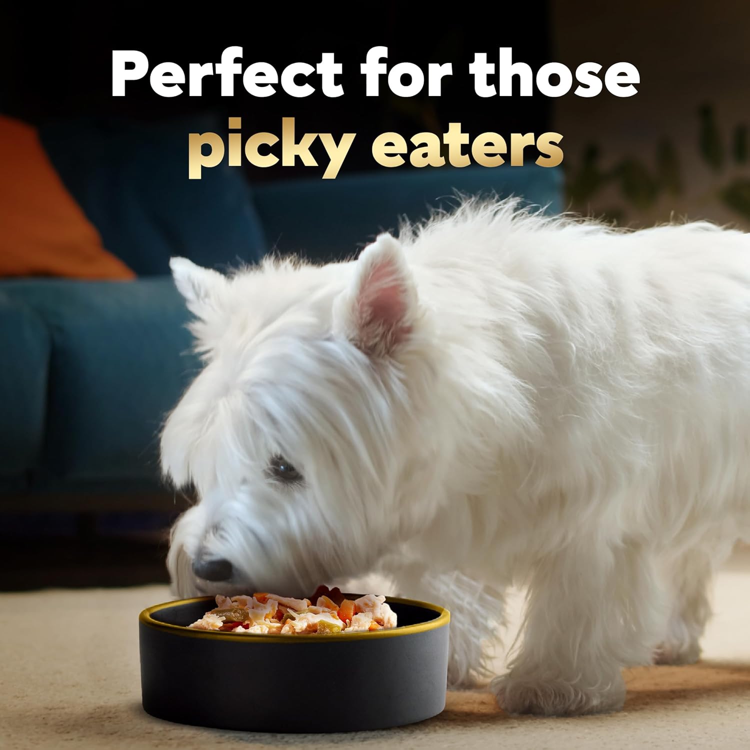 CESAR Simply Crafted Adult Wet Dog Food Meal Topper, Chicken, Carrots  Green Beans and Beef, Chicken, Purple Potatoes, Peas amp; Carrots Variety Pack, 1.3 oz., Pack of 16 · v2