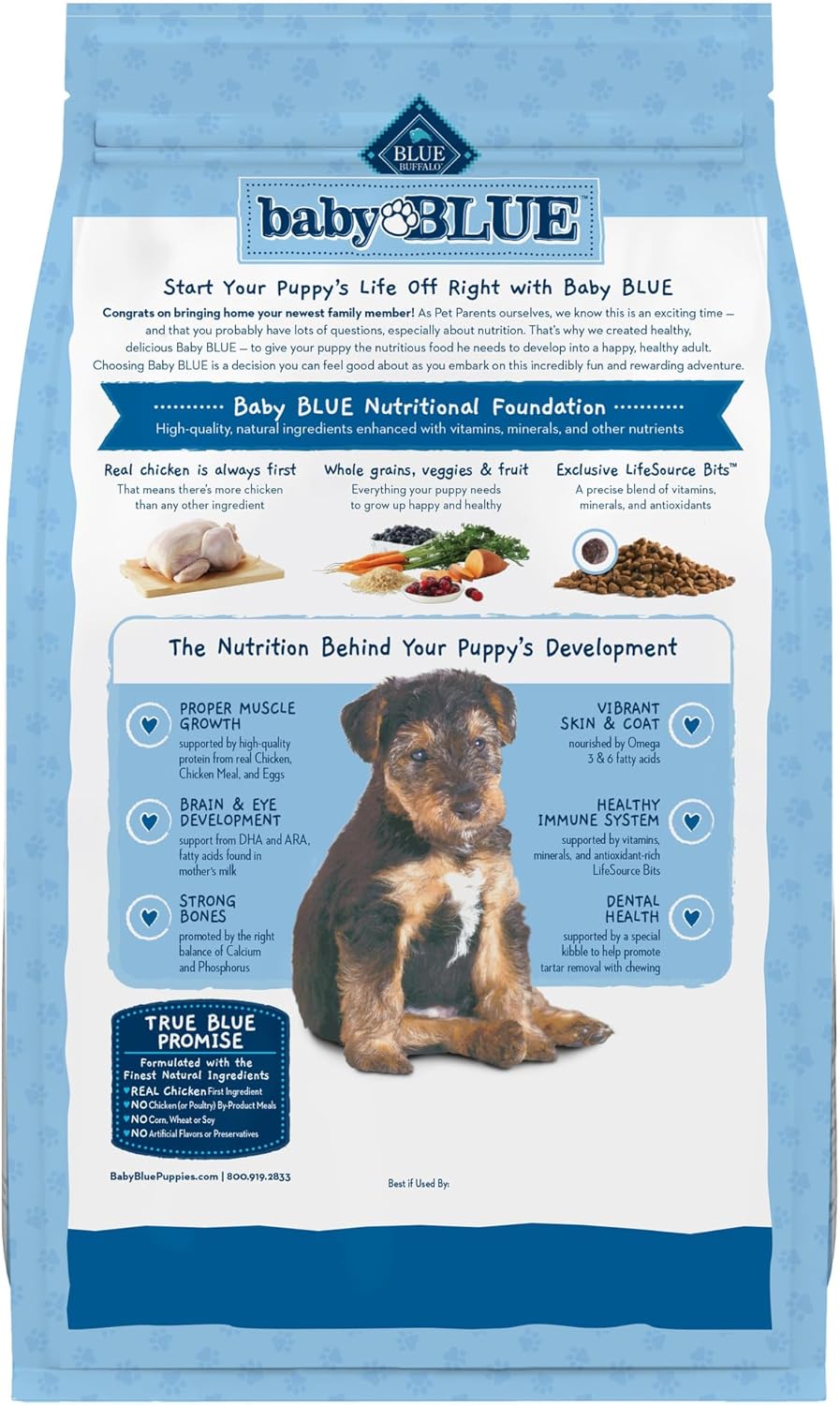 Blue Buffalo Baby BLUE Natural Dry Food for Puppies, Healthy Growth Formula with DHA, Savory Chicken Recipe, 4-lb. Bag
