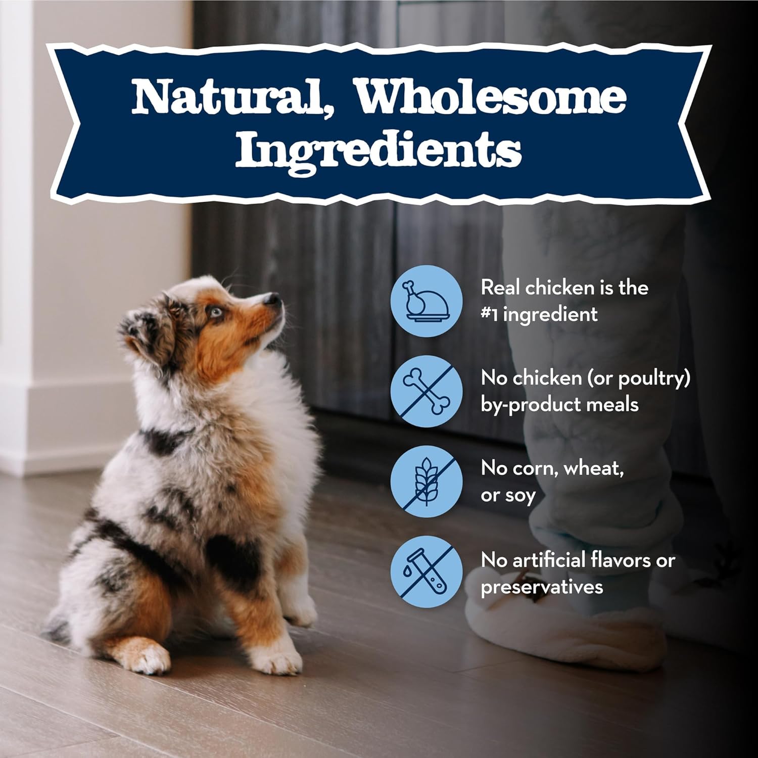 Blue Buffalo Baby BLUE Natural Dry Food for Puppies, Healthy Growth Formula with DHA, Savory Chicken Recipe, 4-lb. Bag